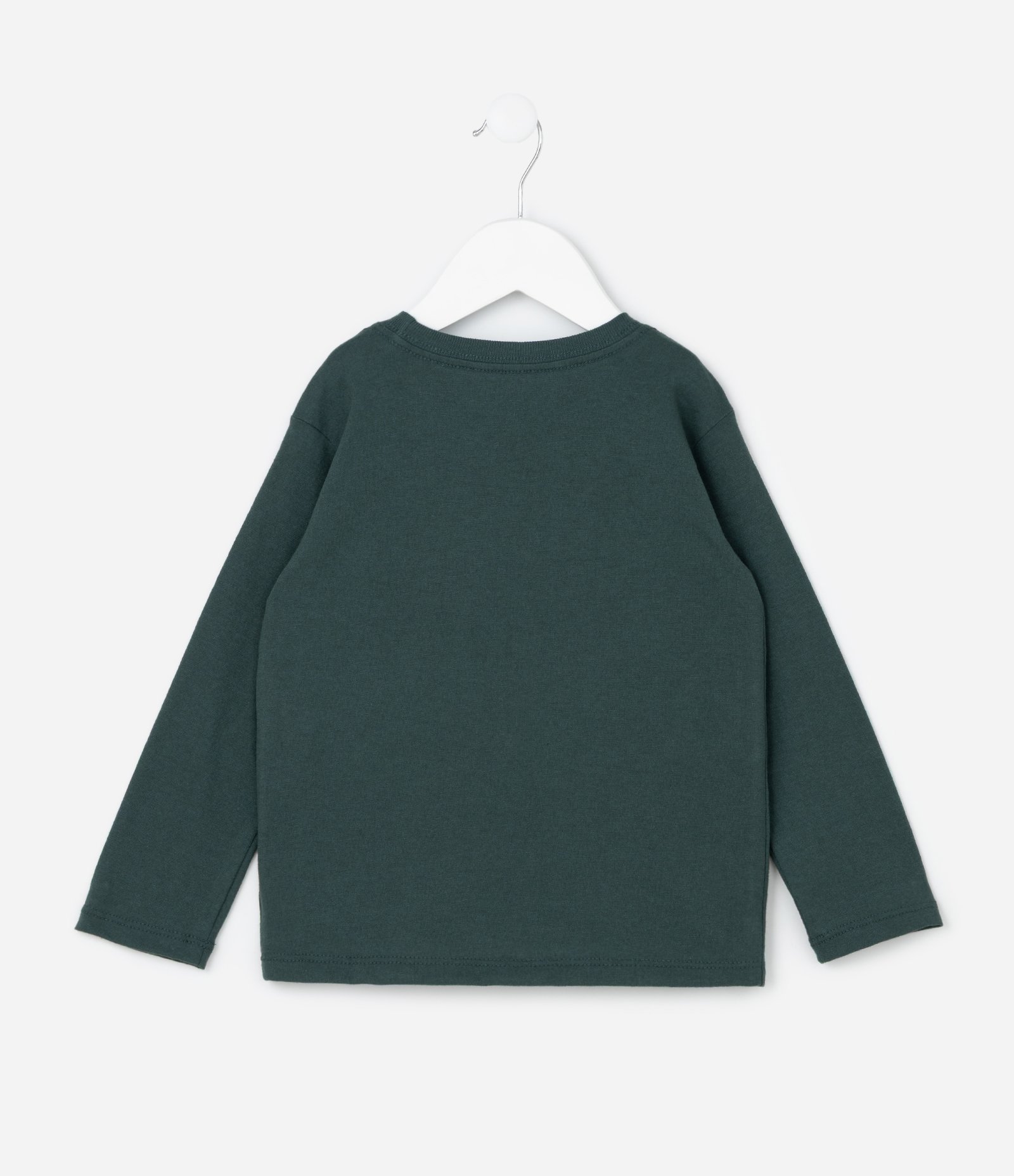 Camiseta Infantil com Estampa de Dinossauro - Tam 1 a 6 Anos Verde 2