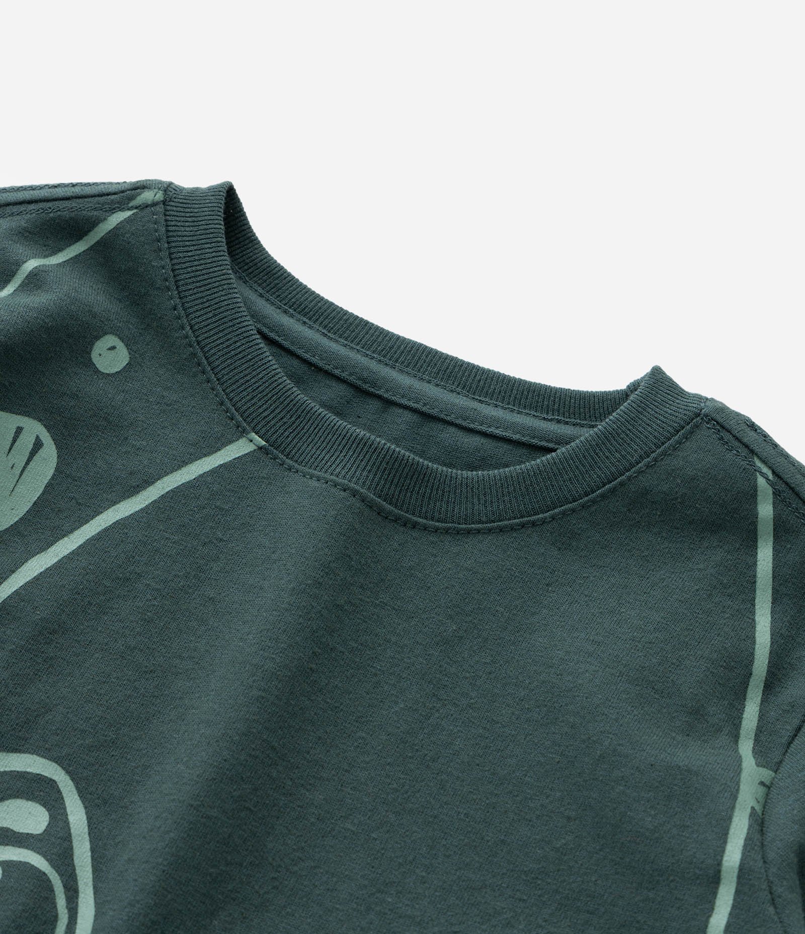 Camiseta Infantil com Estampa de Dinossauro - Tam 1 a 6 Anos Verde 4