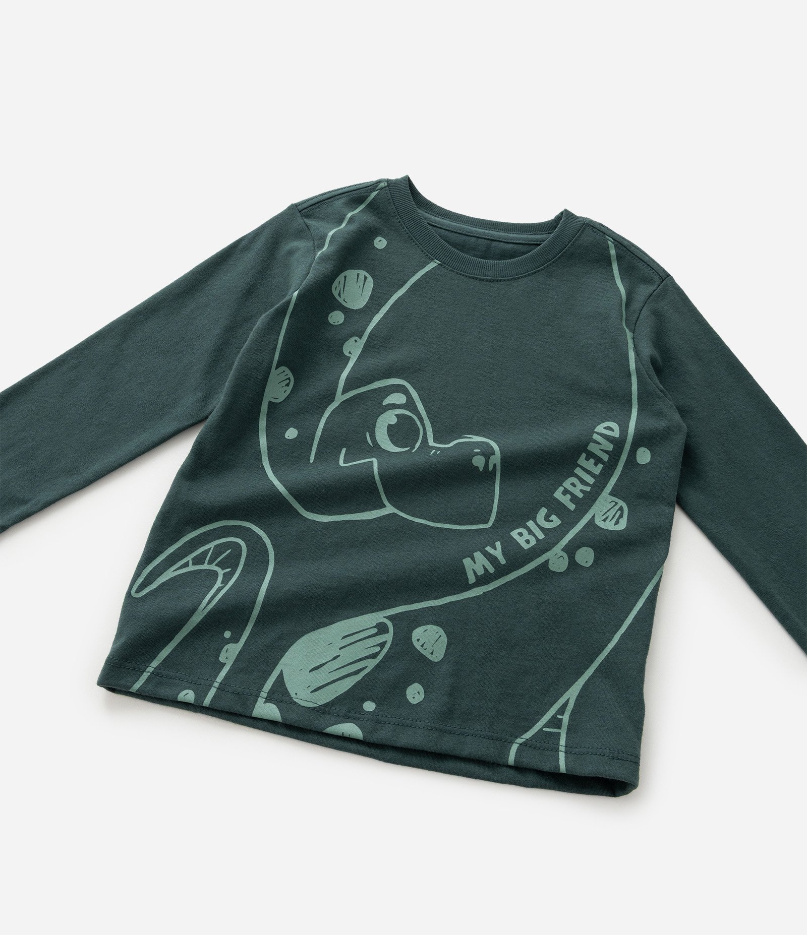 Camiseta Infantil com Estampa de Dinossauro - Tam 1 a 6 Anos Verde 6