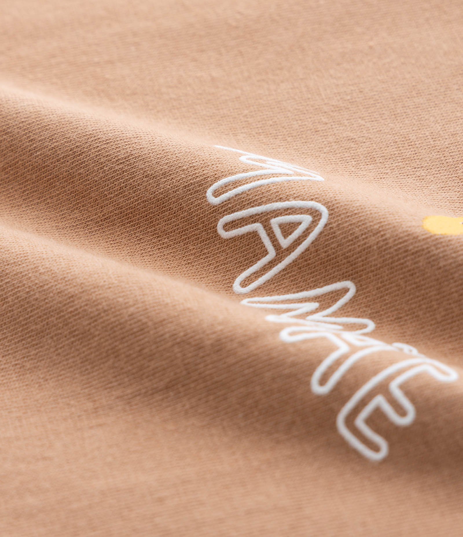 Body Infantil Melhores Amigos da Mamãe - Tam 0 a 18 Meses Marrom 4