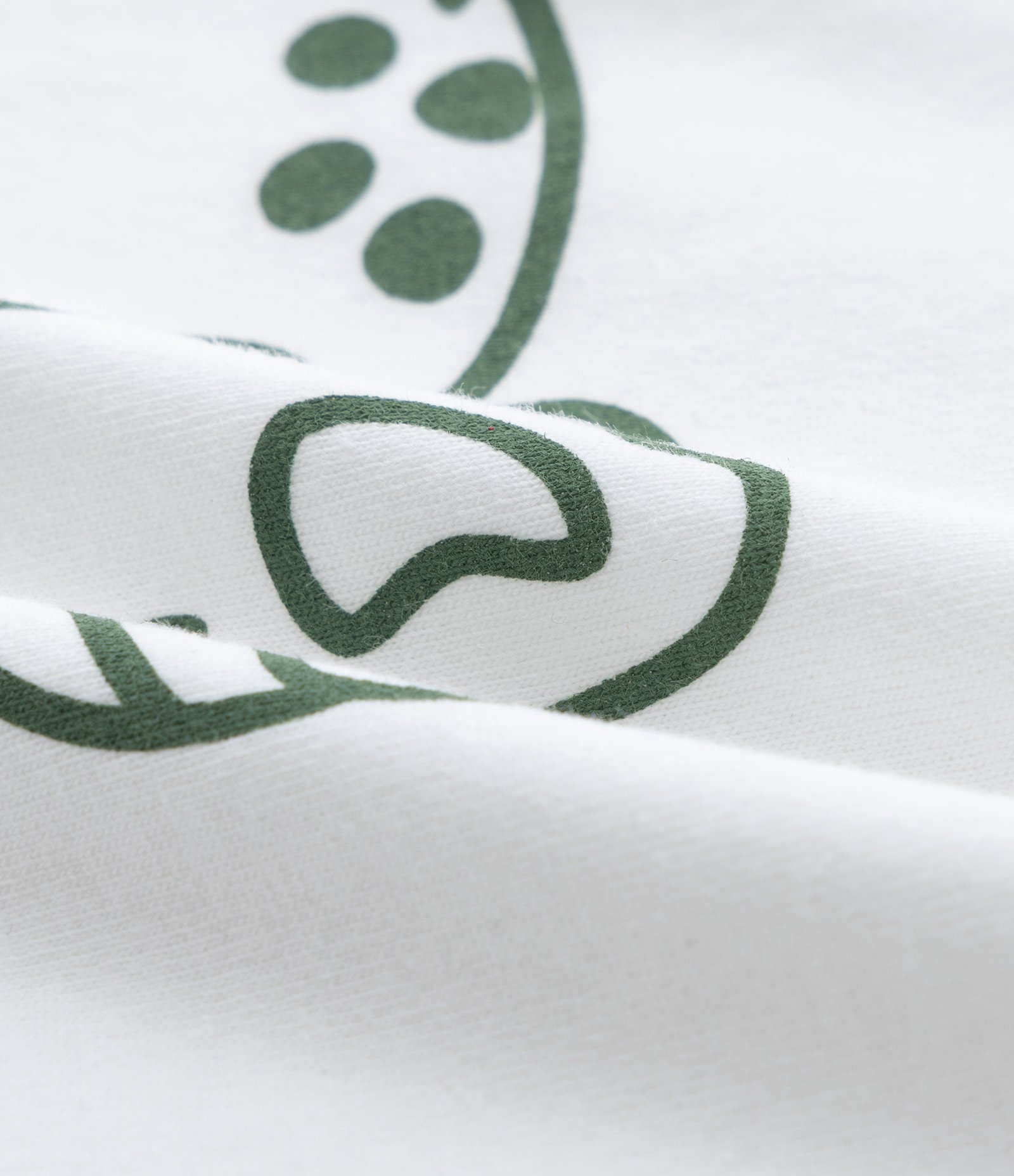 Camiseta Infantil com Estampa de Dinossauro - Tam 0 a 18 Meses Branco 3