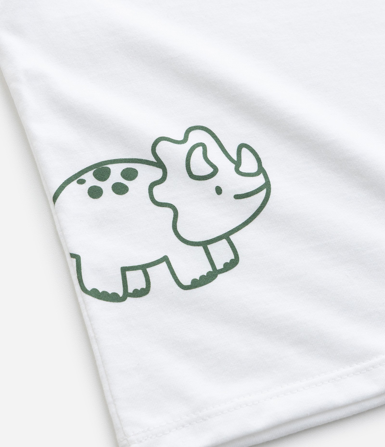 Camiseta Infantil com Estampa de Dinossauro - Tam 0 a 18 Meses Branco 5