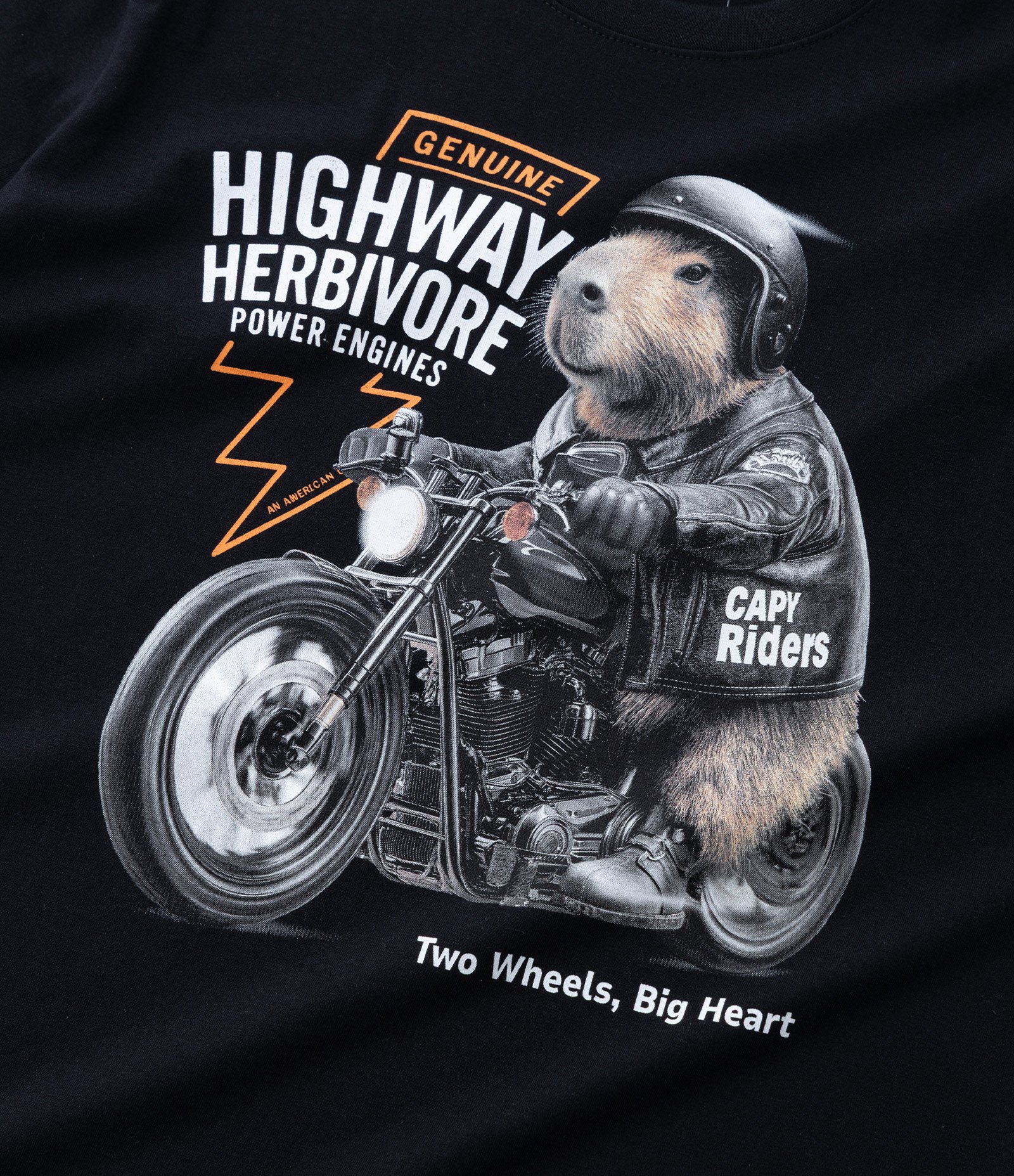 Camiseta Infantil com Estampa Capivara Motoqueira - Tam 5 a 14 Anos Preto 4
