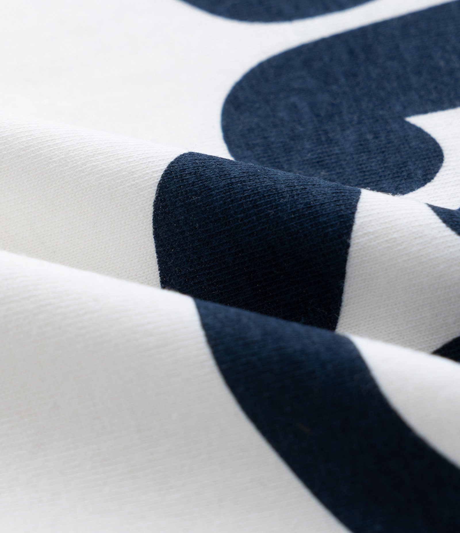 Kit 02 Camisetas Infantis com Estampa Bluey - Tam 2 a 6 Anos Azul/Branco 5