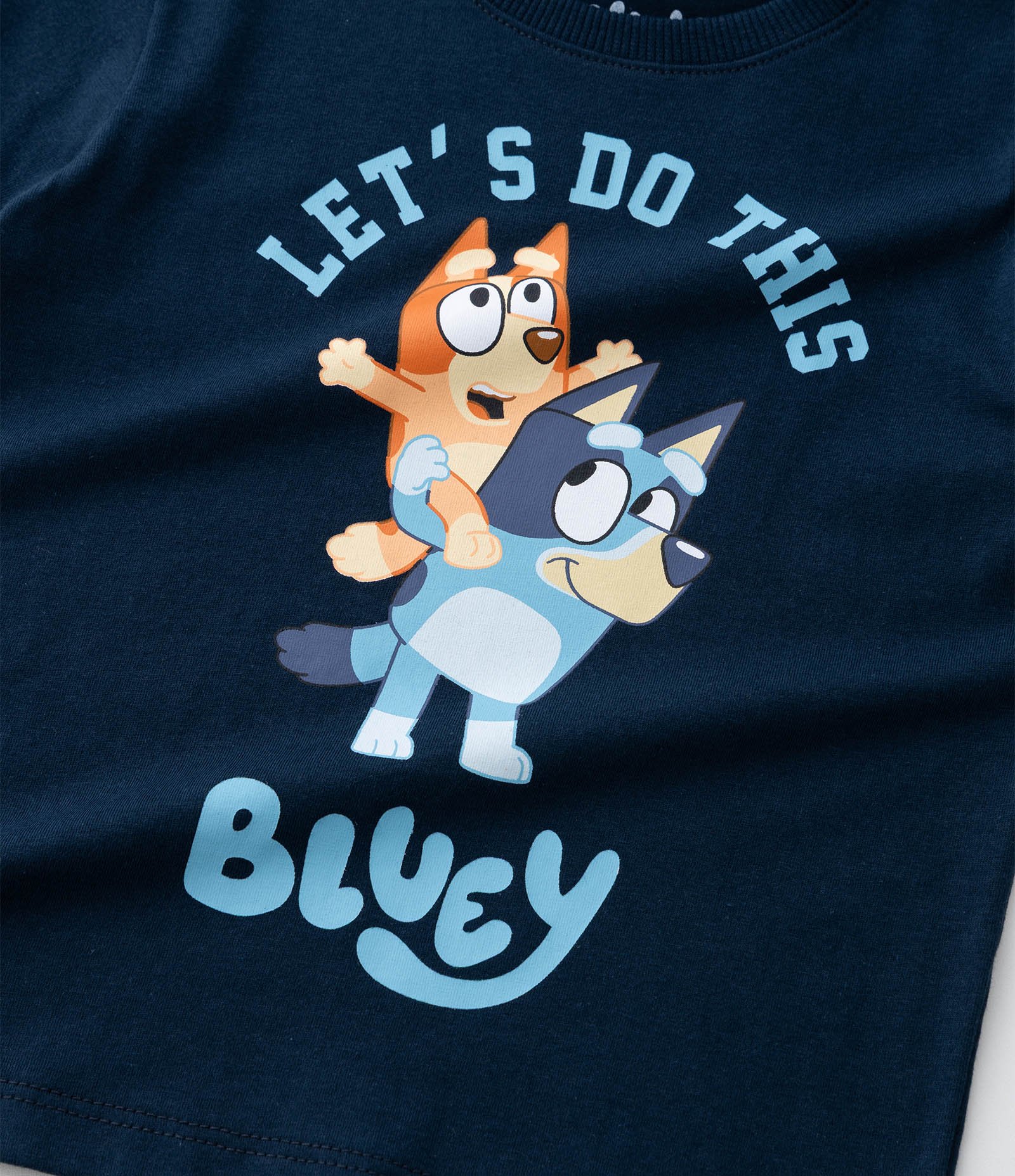 Kit 02 Camisetas Infantis com Estampa Bluey - Tam 2 a 6 Anos Azul/Branco 7