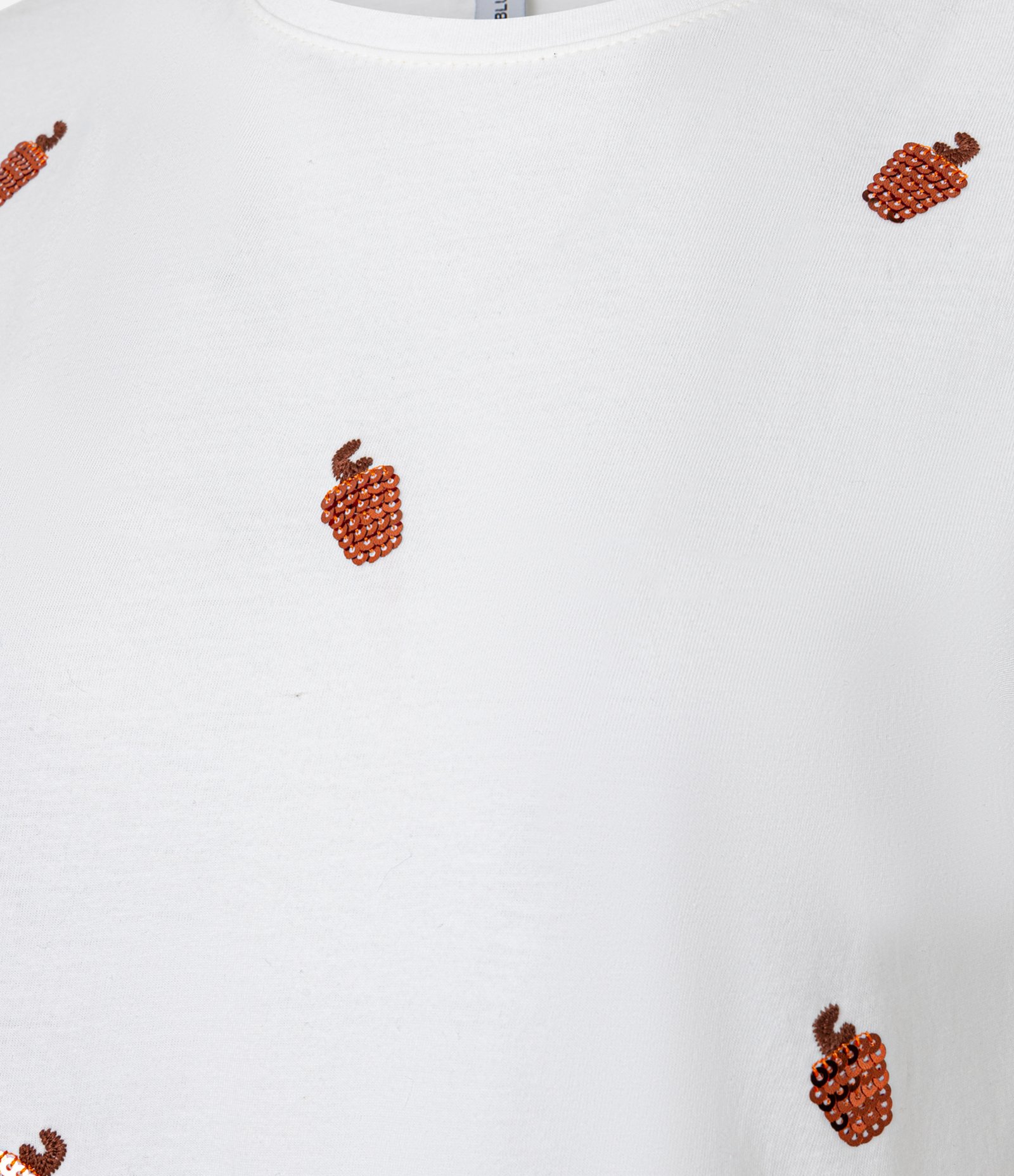 Camiseta em Algodão com Paetê Bordada de Caju Branco 5