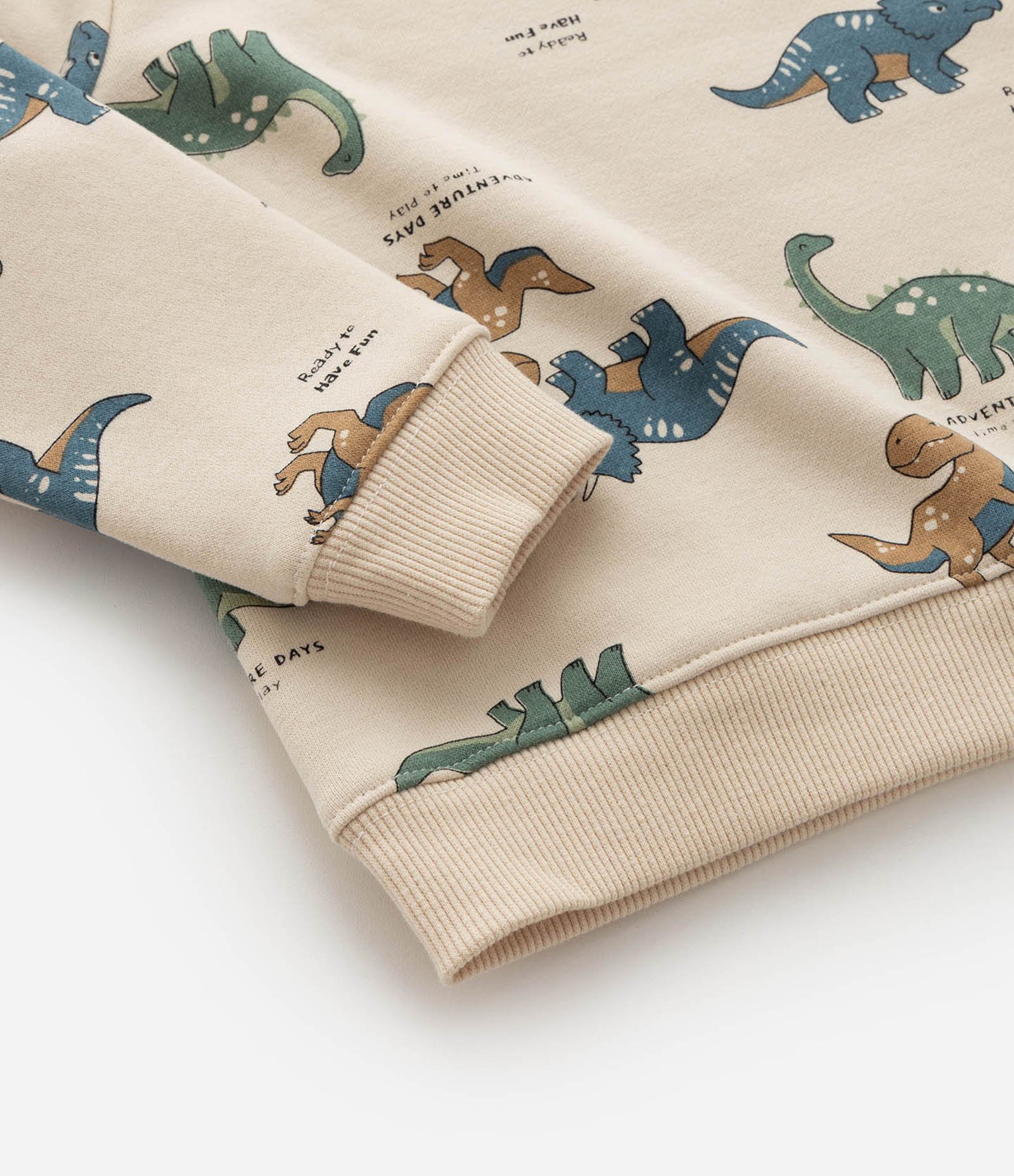 Conjunto Infantil Casaco e Calça com Estampa Dinossauros – Tam 1 a 5/6 Anos Bege/Marrom 11