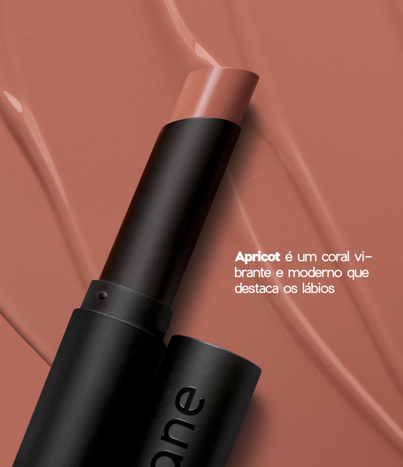 Lip Balm Oceane Frisky Marrom Marrom 1