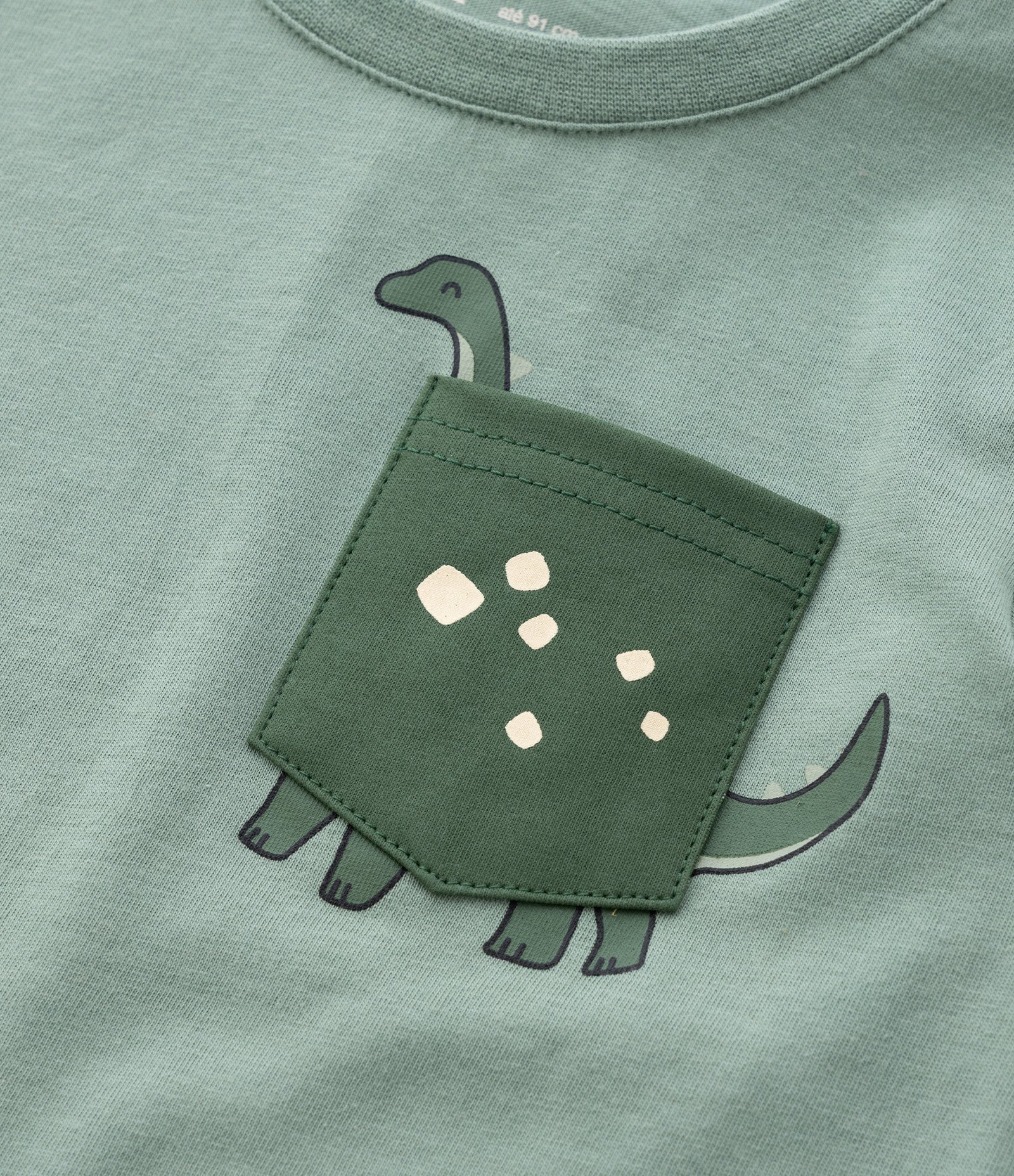 Conjunto Infantil com Estampada Dinossauro – Tam 1 a 5/6 Anos Verde 10