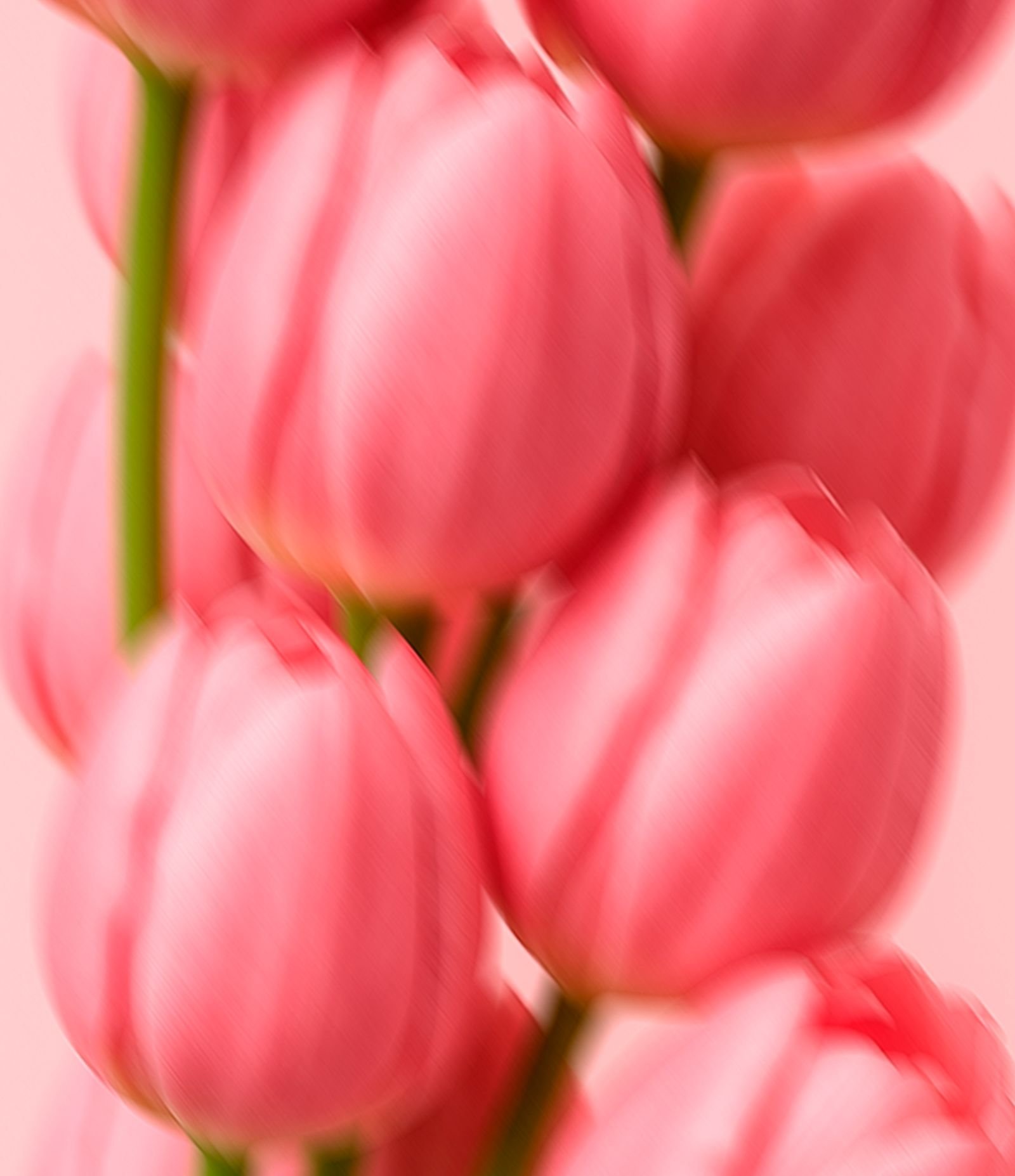 Hidratante Corporal Hidden Flowers Skelt 200g 4