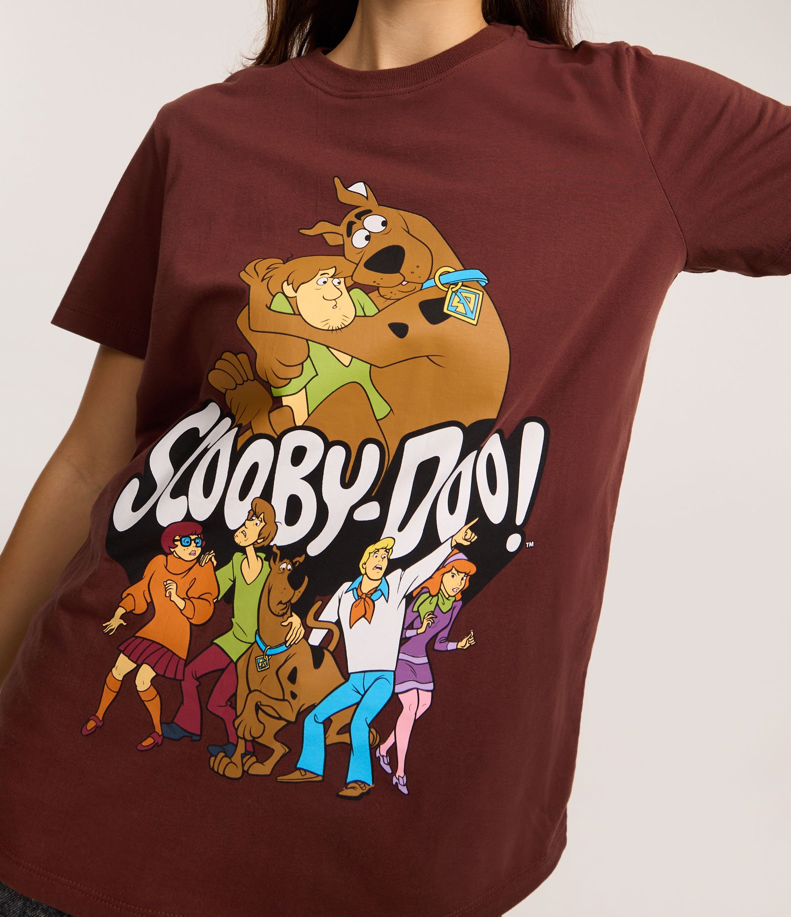 Camiseta T-shirt em Algodão com Estampa Scooby Doo Marrom 3