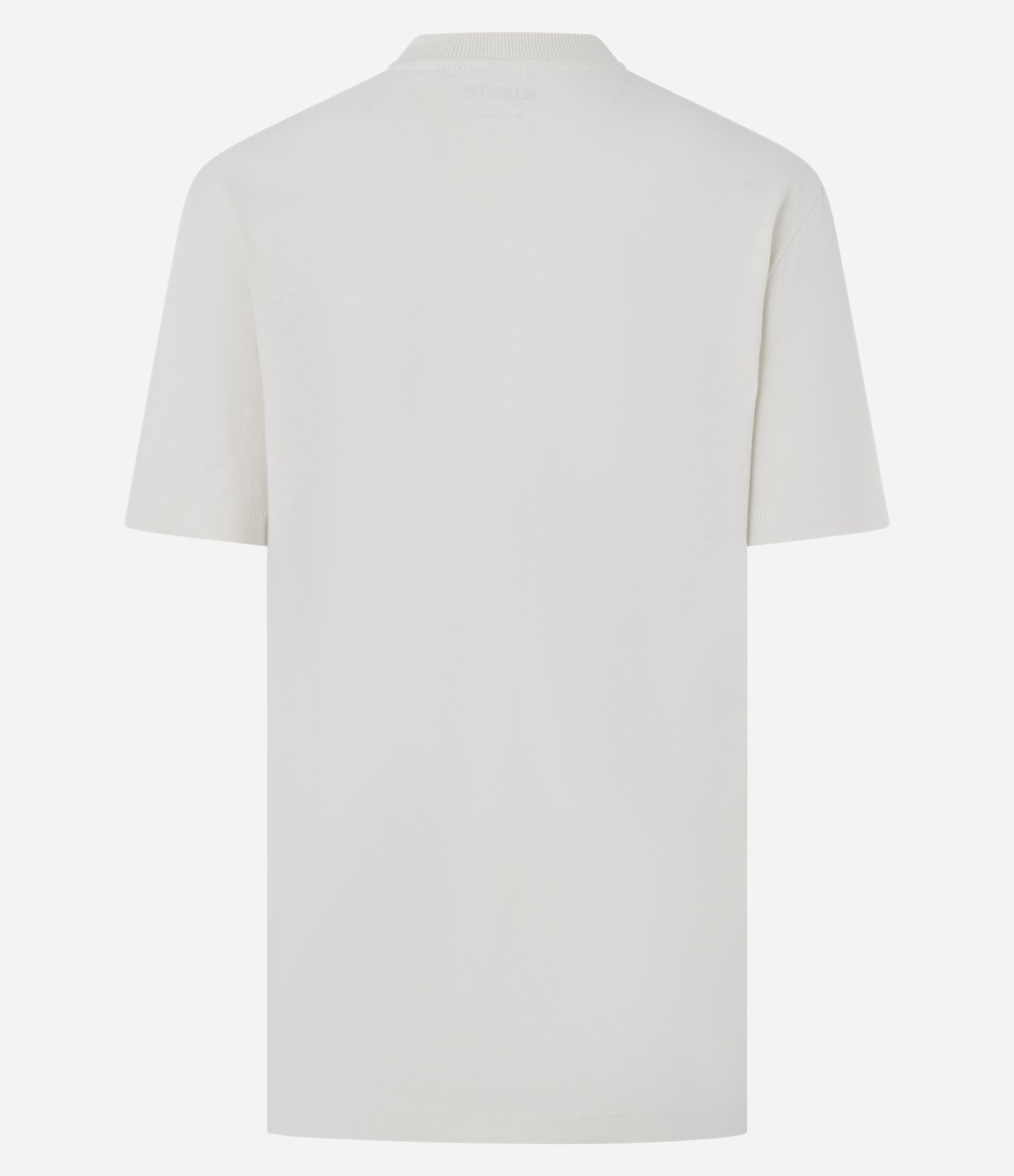 Camiseta T-shirt com Estampa Capivara Relaxtime Cinza 5