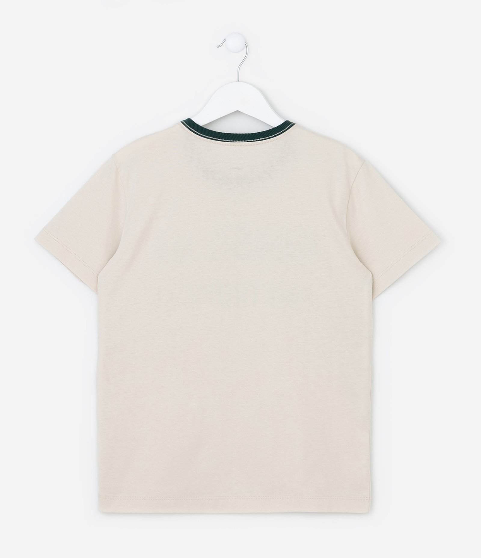 Camiseta Infantil com Lettering Brasil País Tropical - Tam 5 a 14 Anos Bege 2