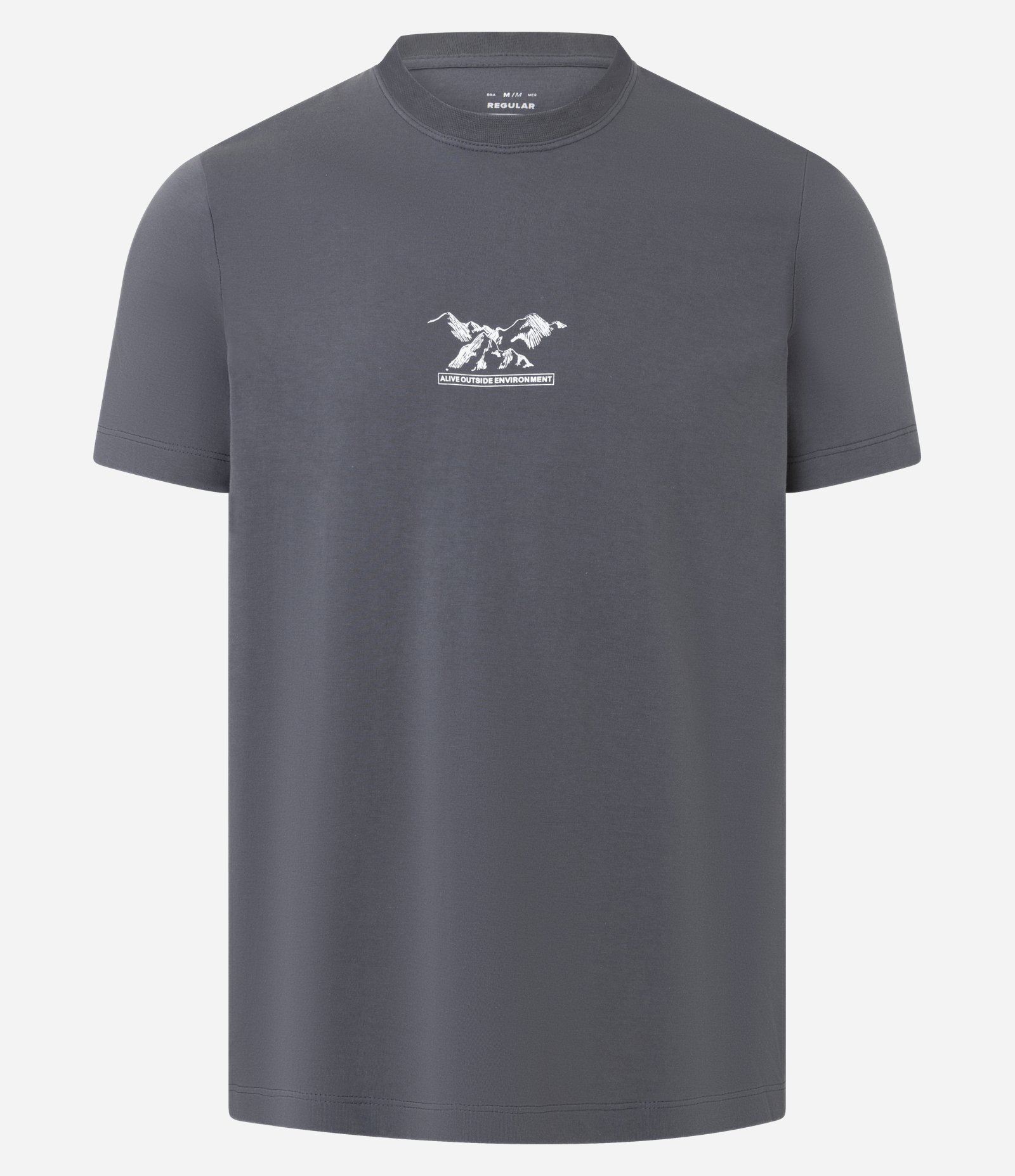 Camiseta T-Shirt em Algodão com Estampa Montanha Cinza 1