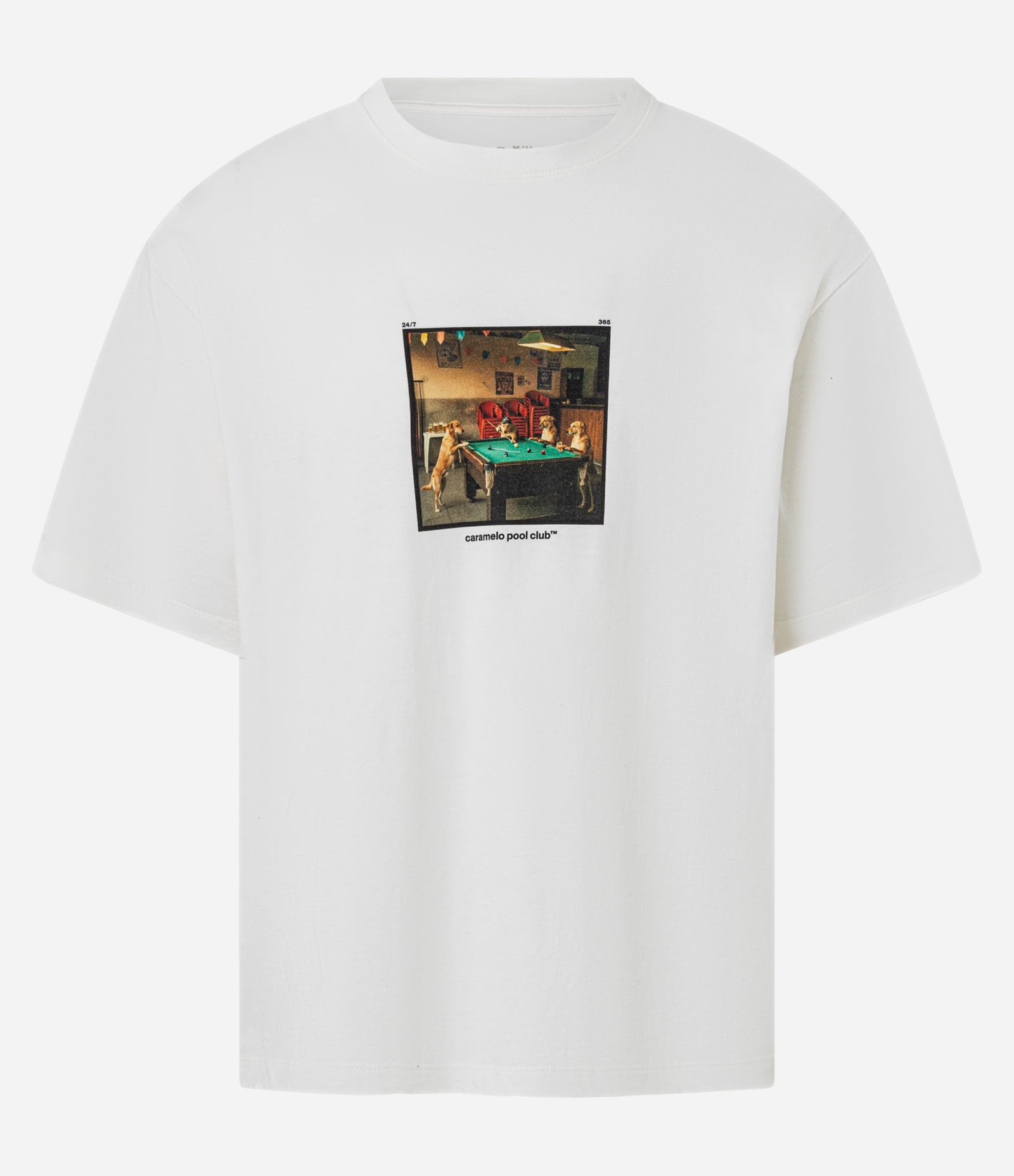 Camiseta Boxy em Algodão com Estampa Photoprint Cachorros na Sinuca Branco 4