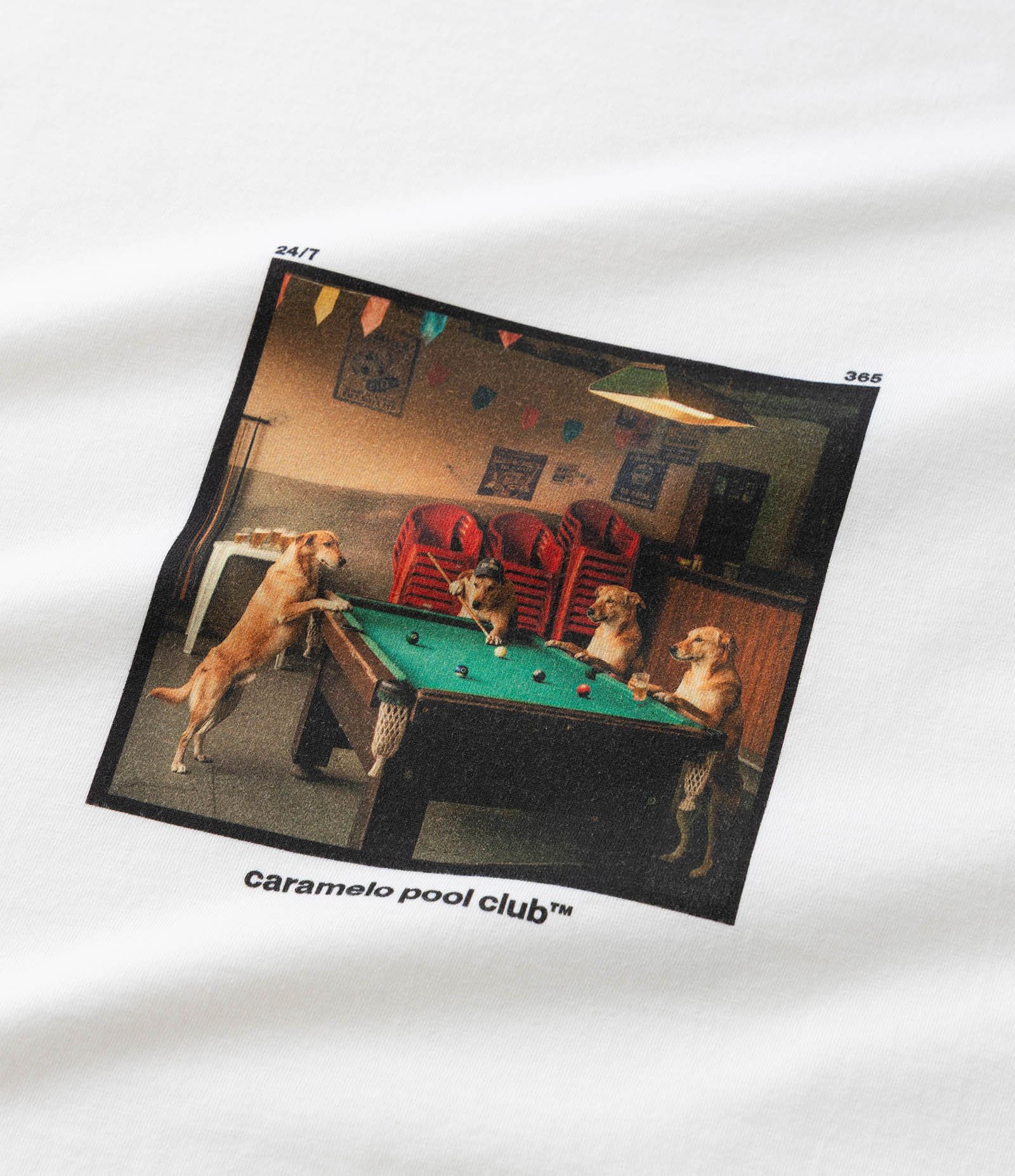 Camiseta Boxy em Algodão com Estampa Photoprint Cachorros na Sinuca Branco 6