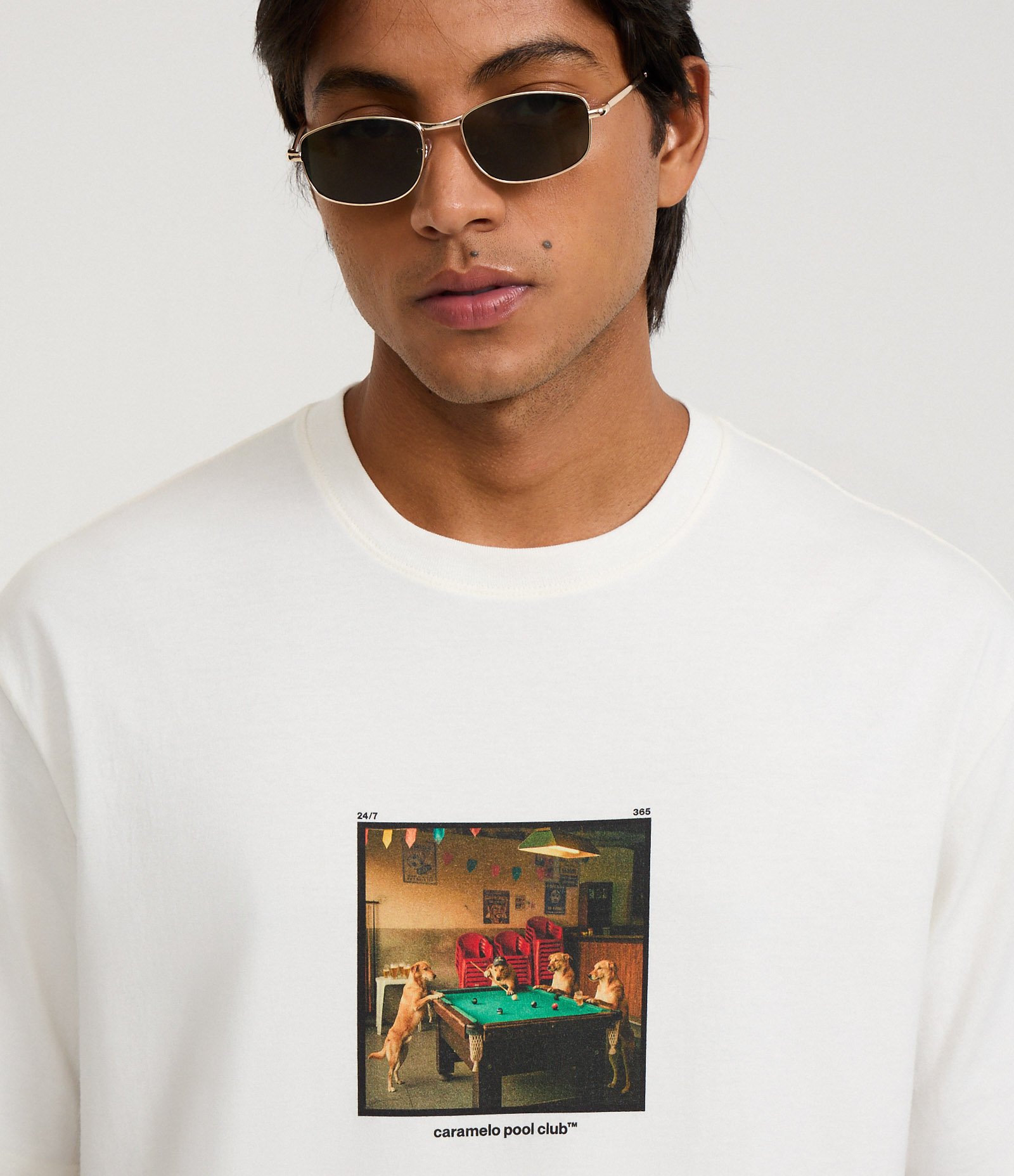 Camiseta Boxy em Algodão com Estampa Photoprint Cachorros na Sinuca Branco 3