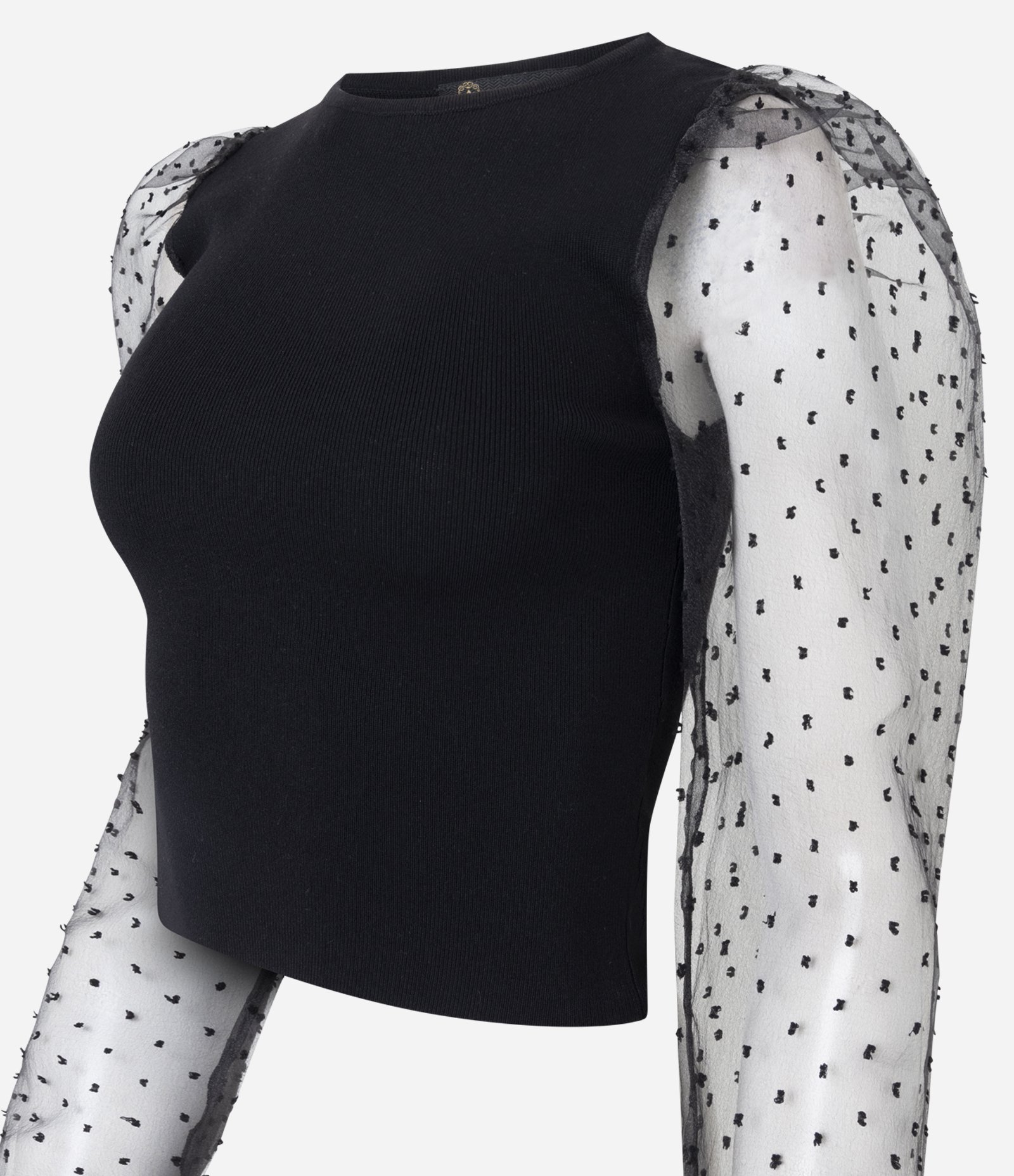 Blusa em Tricô com Manga Bufante Transparente Preto 6