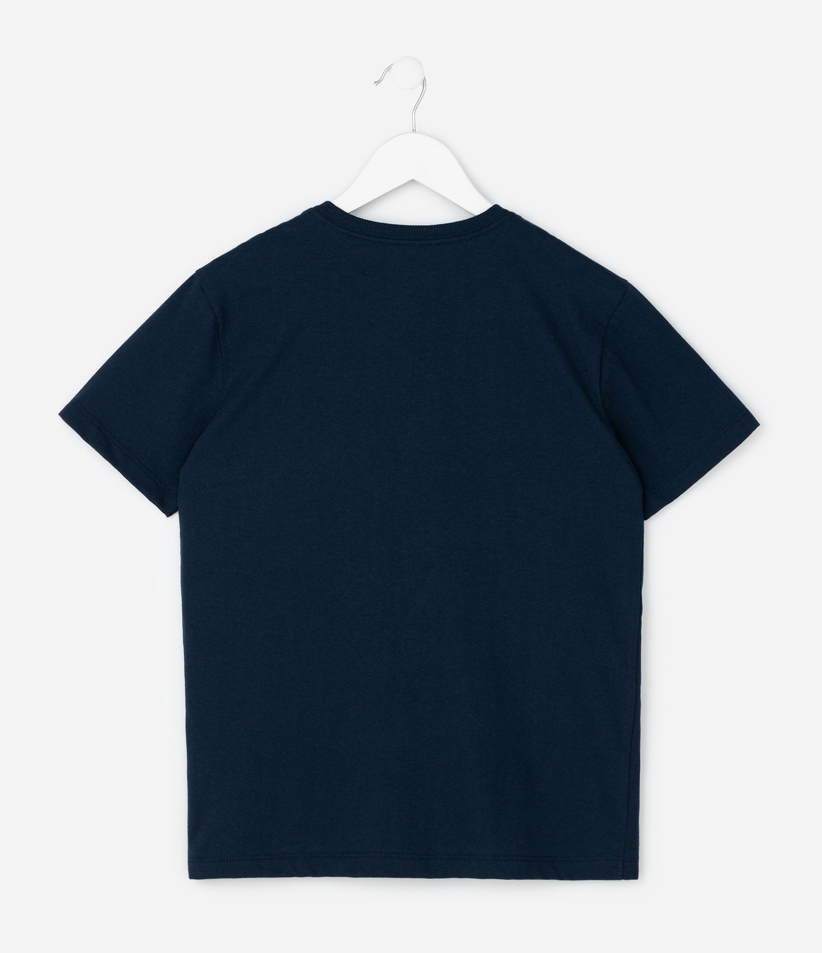 Camiseta Infantil com Estampa Sonic Speed – Tam 5 a 14 Anos Azul Marinho 2