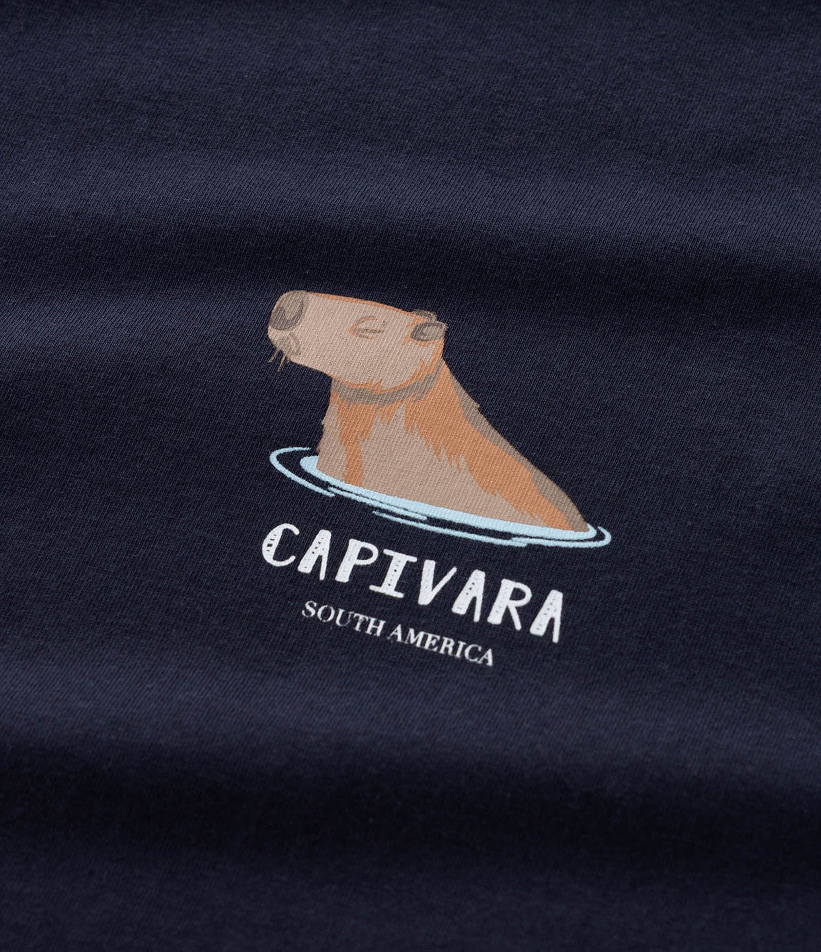 Pijama Curto em Algodão com Estampa de Capivara Azul 4