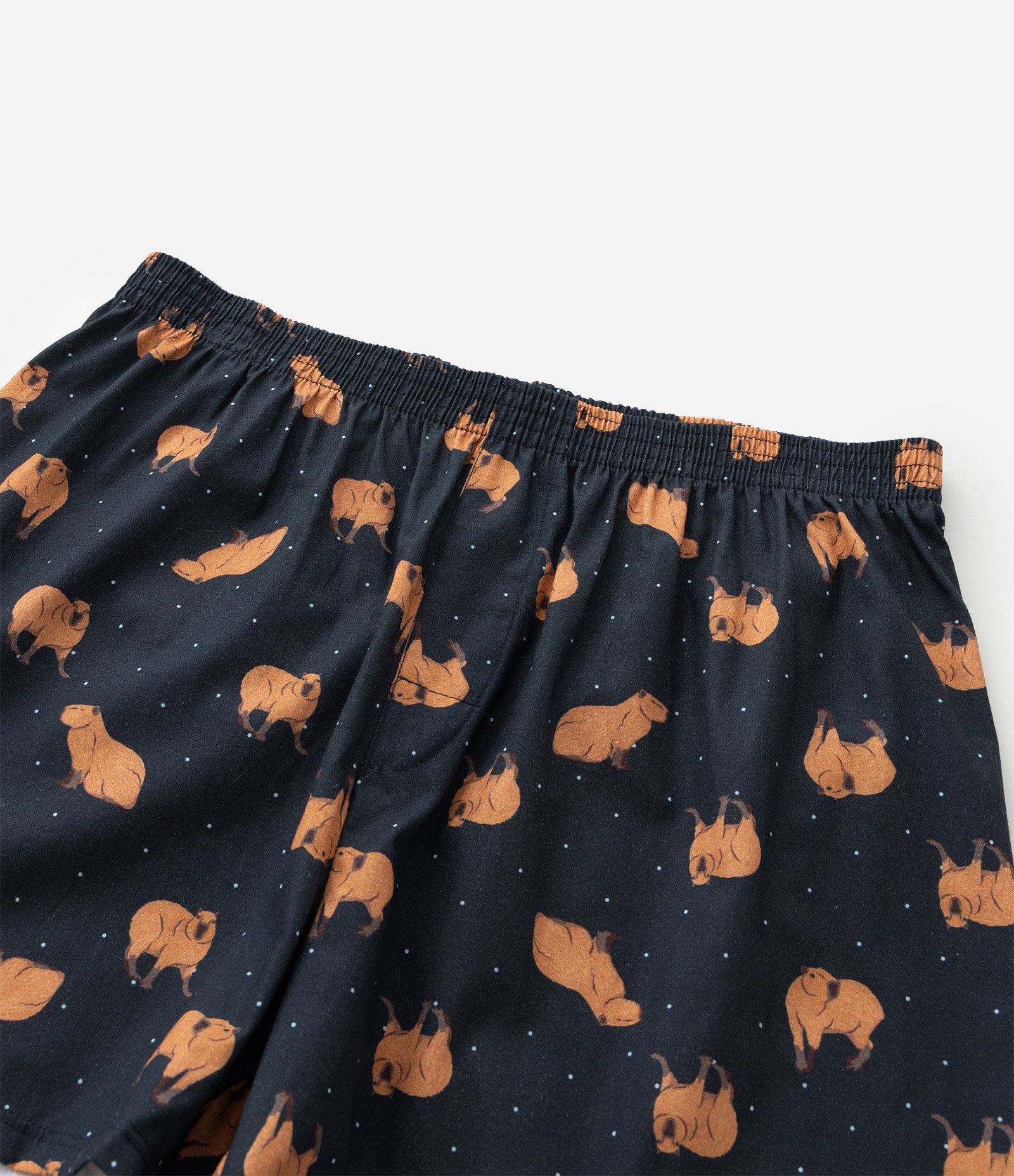 Pijama Curto em Algodão com Estampa de Capivara Azul 7