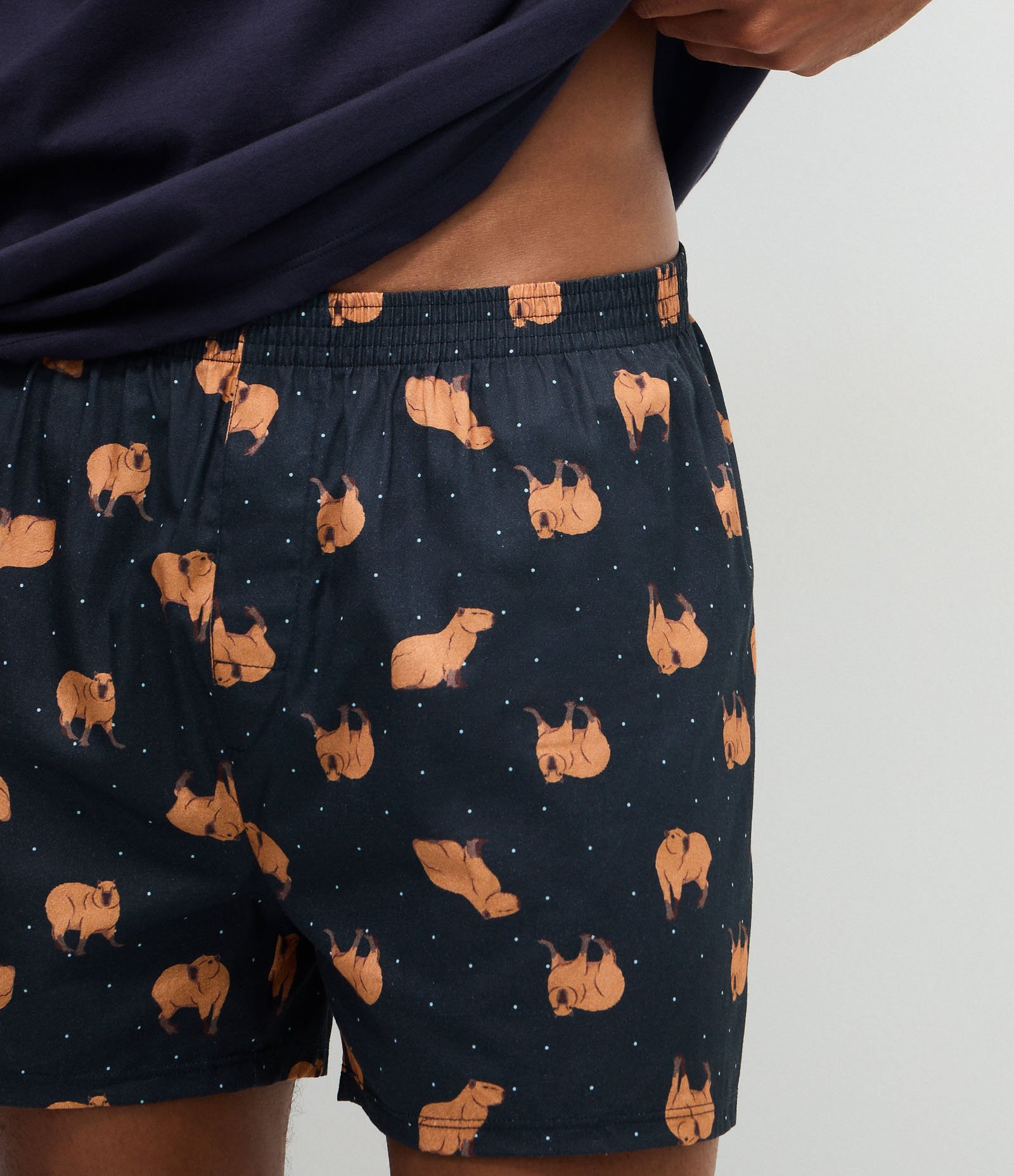 Pijama Curto em Algodão com Estampa de Capivara Azul 3