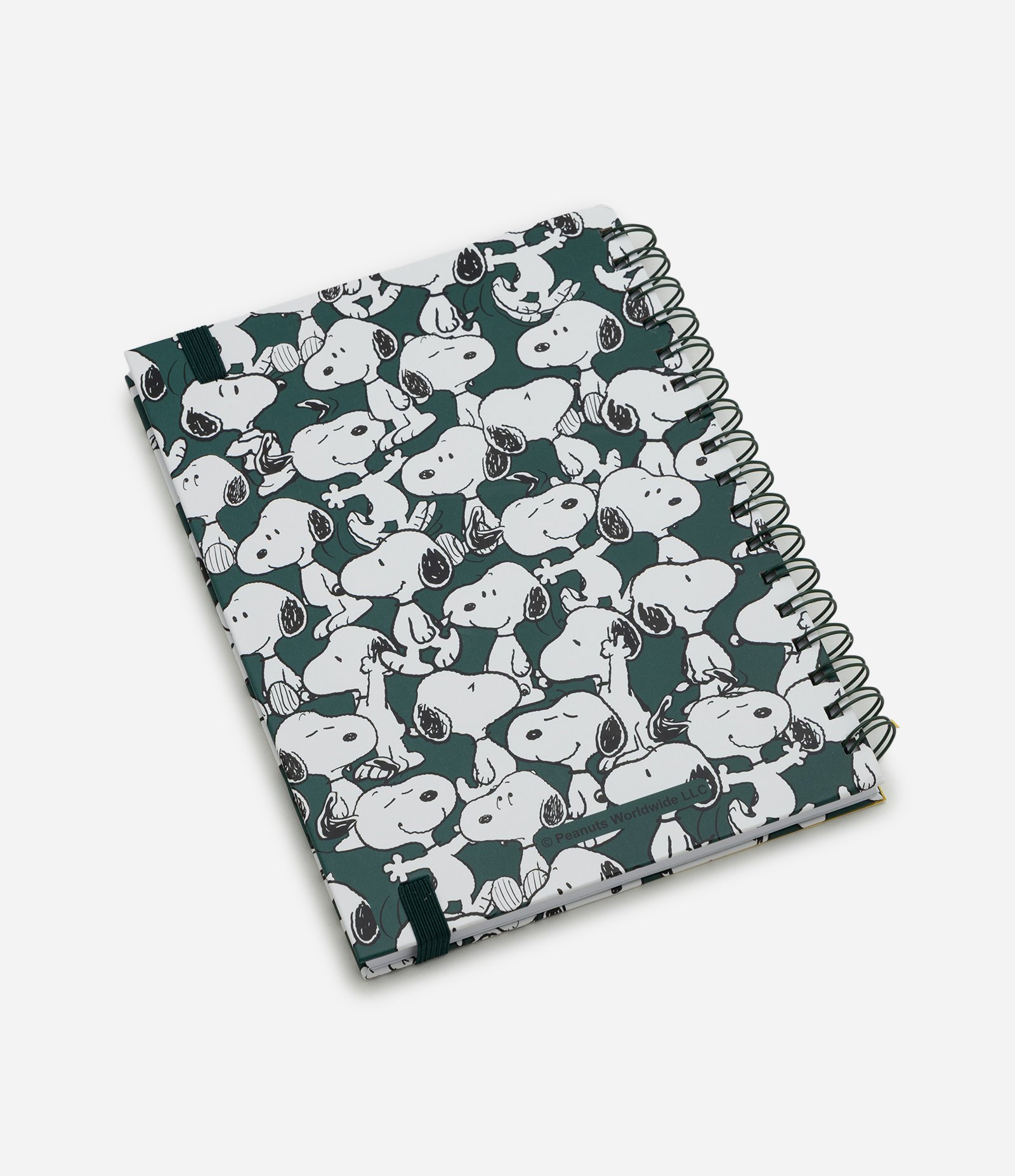 Caderno com 96 Páginas Pautadas e Estampa Snoopy Verde 2