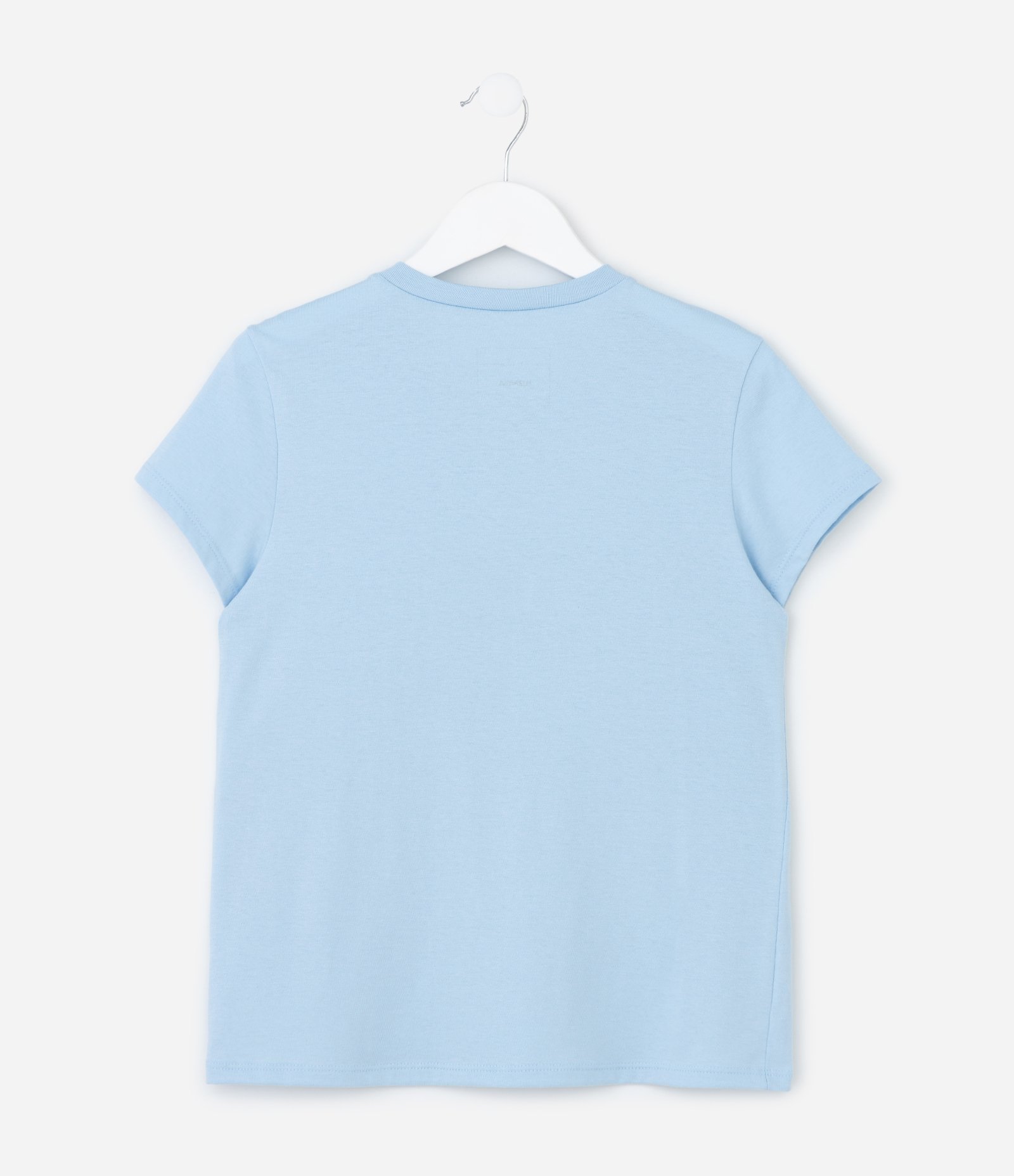 Camiseta Infantil Com Estampa Capivara - Tam 5 A 14 Anos Azul 2