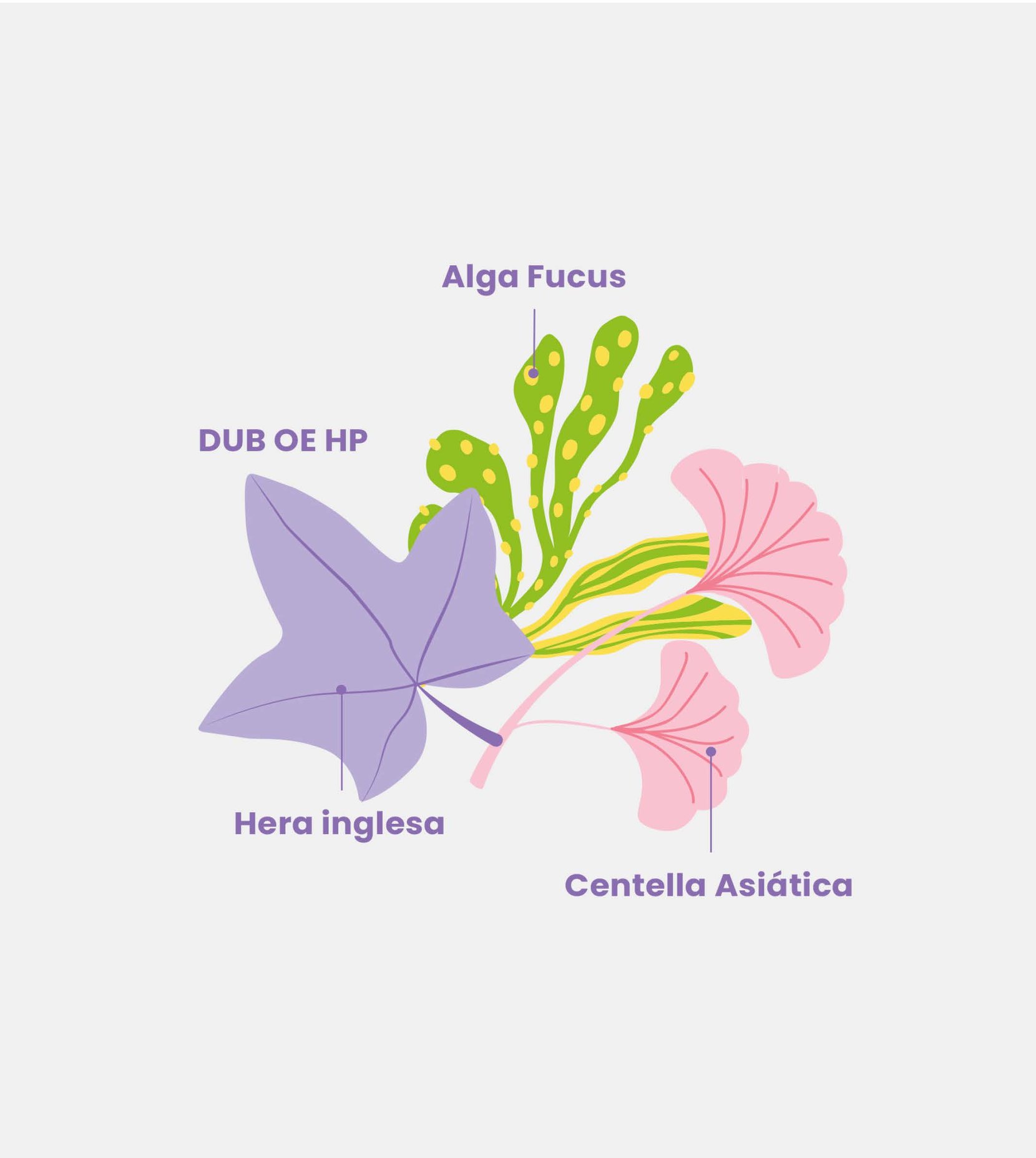 Desodorante Corporal Bumbum Cream Suave Beleza Brasileira 200g 5