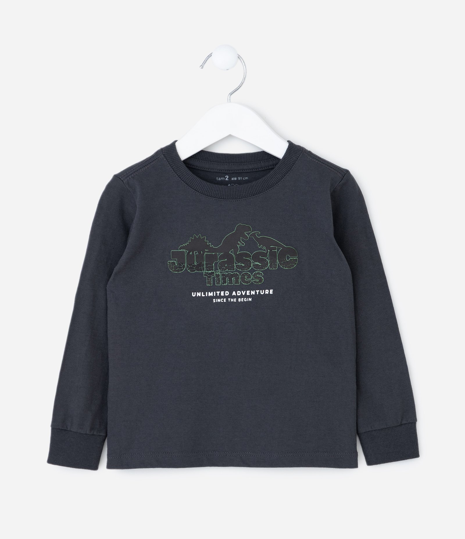 Camiseta Infantil com Estampa de Dinossauro em Relevo – Tam 1 a 5/6 Anos Chumbo 1