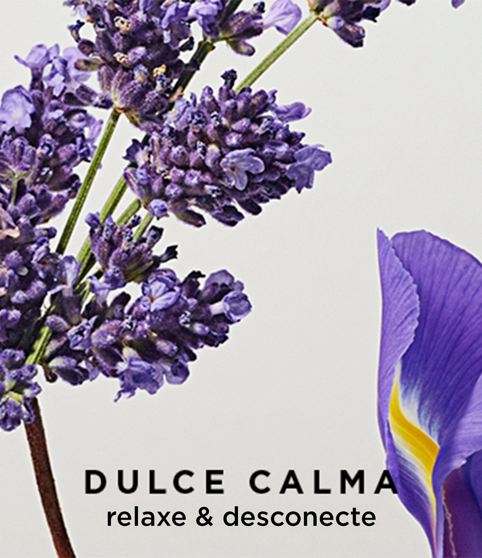 Victorio Lucchino Aguas Esenciales Dulce Calma Eau de Cologne 250 ml 250ml 3