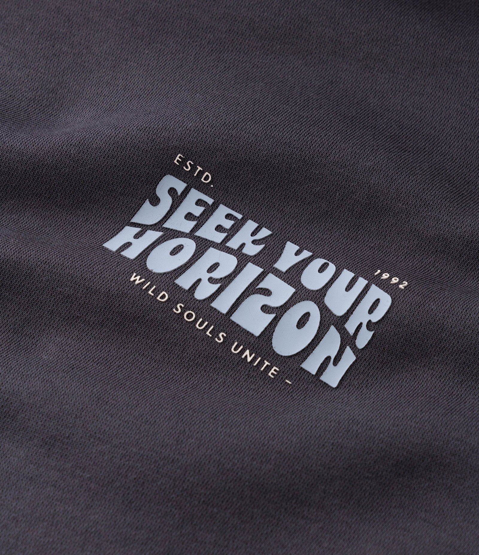 Moletom com Lettering Seek Your Horizon e Capuz Cinza 9