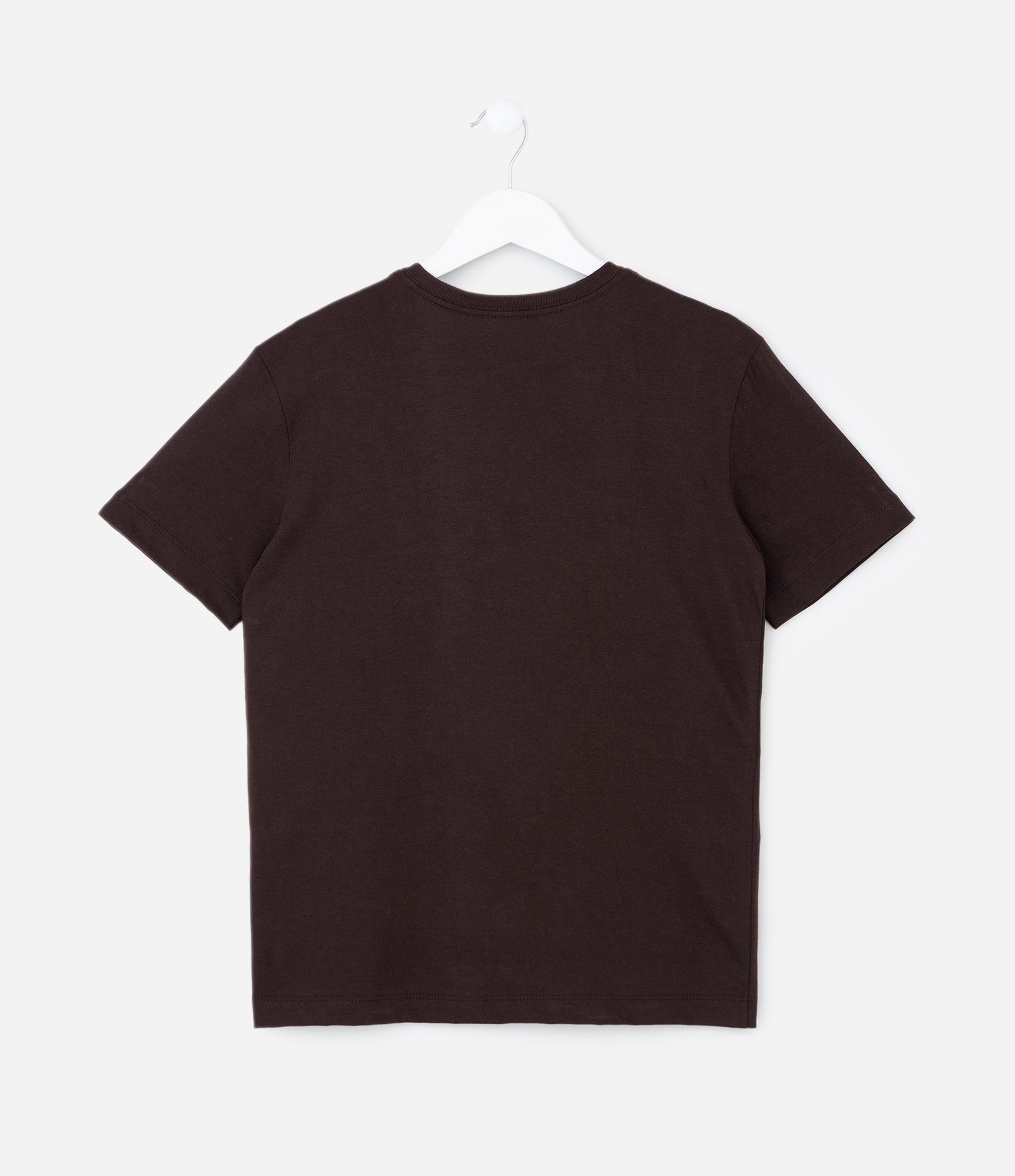 Camiseta Infantil com Estampa Cachorro Caramelo Divertido – Tam 5 a 14 Anos Marrom Escuro 2