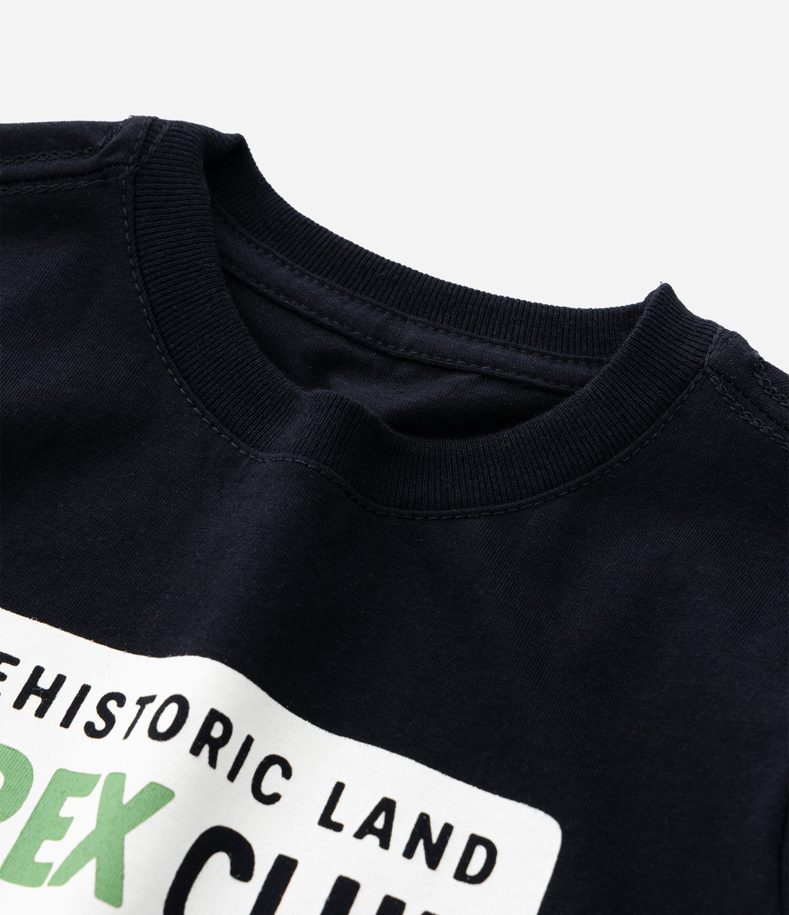 Camiseta Infantil com Estampa Dino T-Rex - Tam 1 a 6
Anos Preto 4