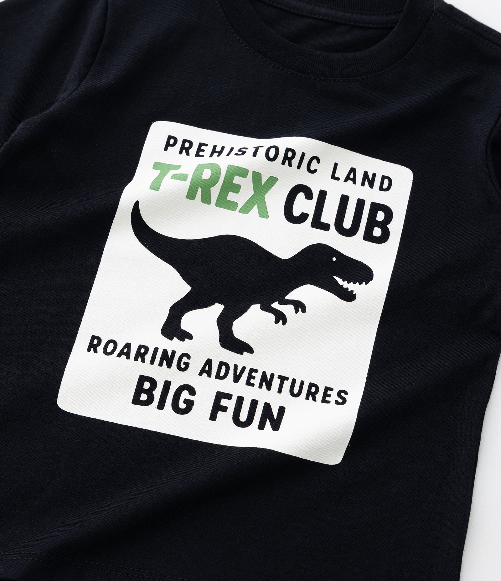 Camiseta Infantil com Estampa Dino T-Rex - Tam 1 a 6
Anos Preto 5