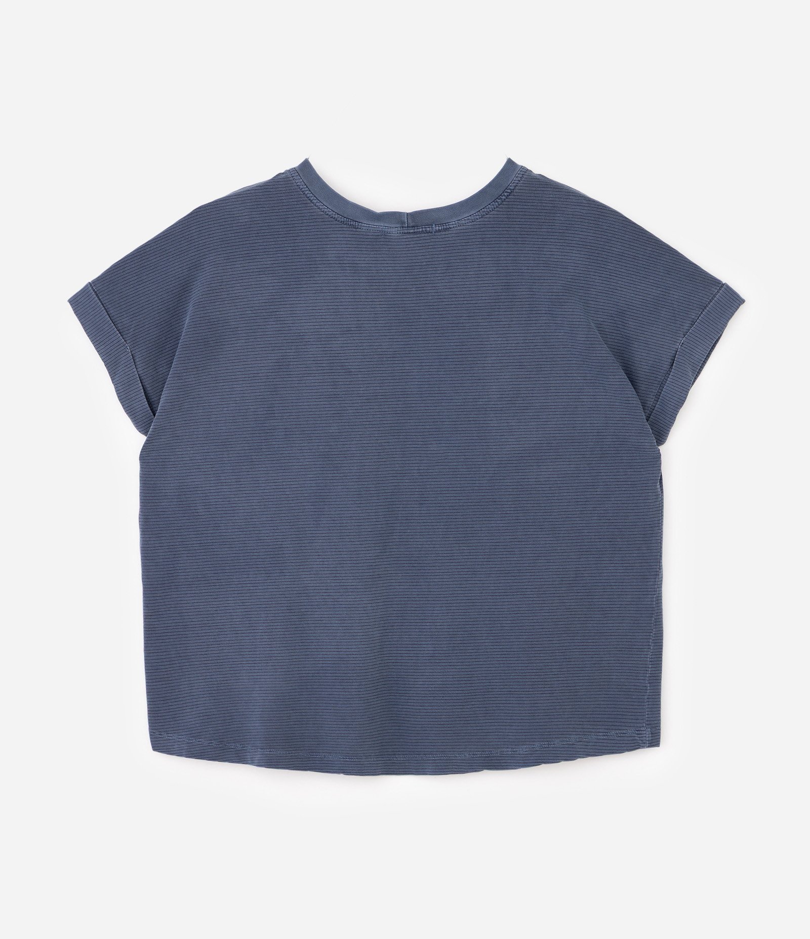 Blusa Manga Curta Fio Tinto com Bordado Floral Curve & Plus Size Azul 2