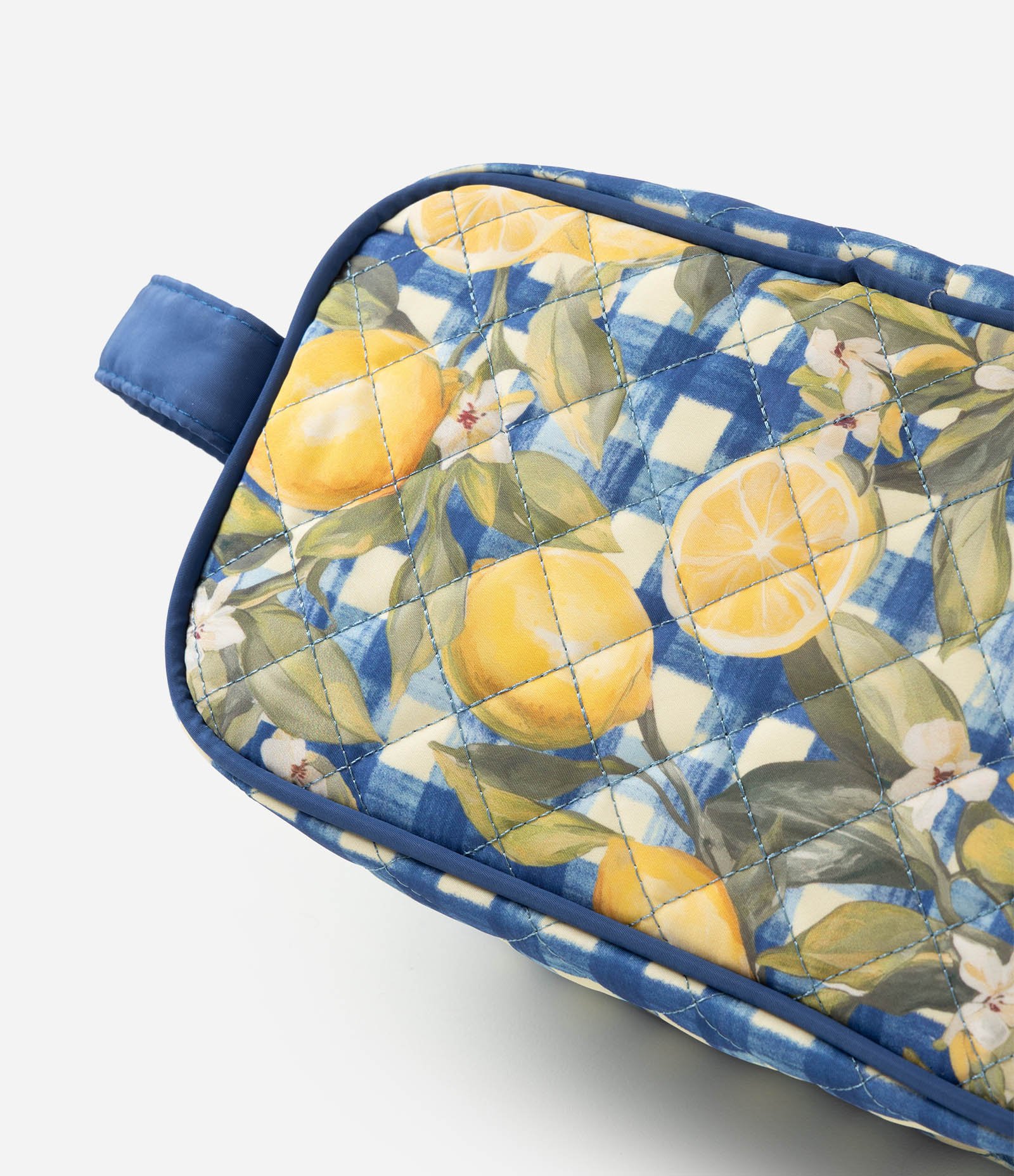 Necessaire Grande com Estampa de Frutas e Alça de Mão Azul 4