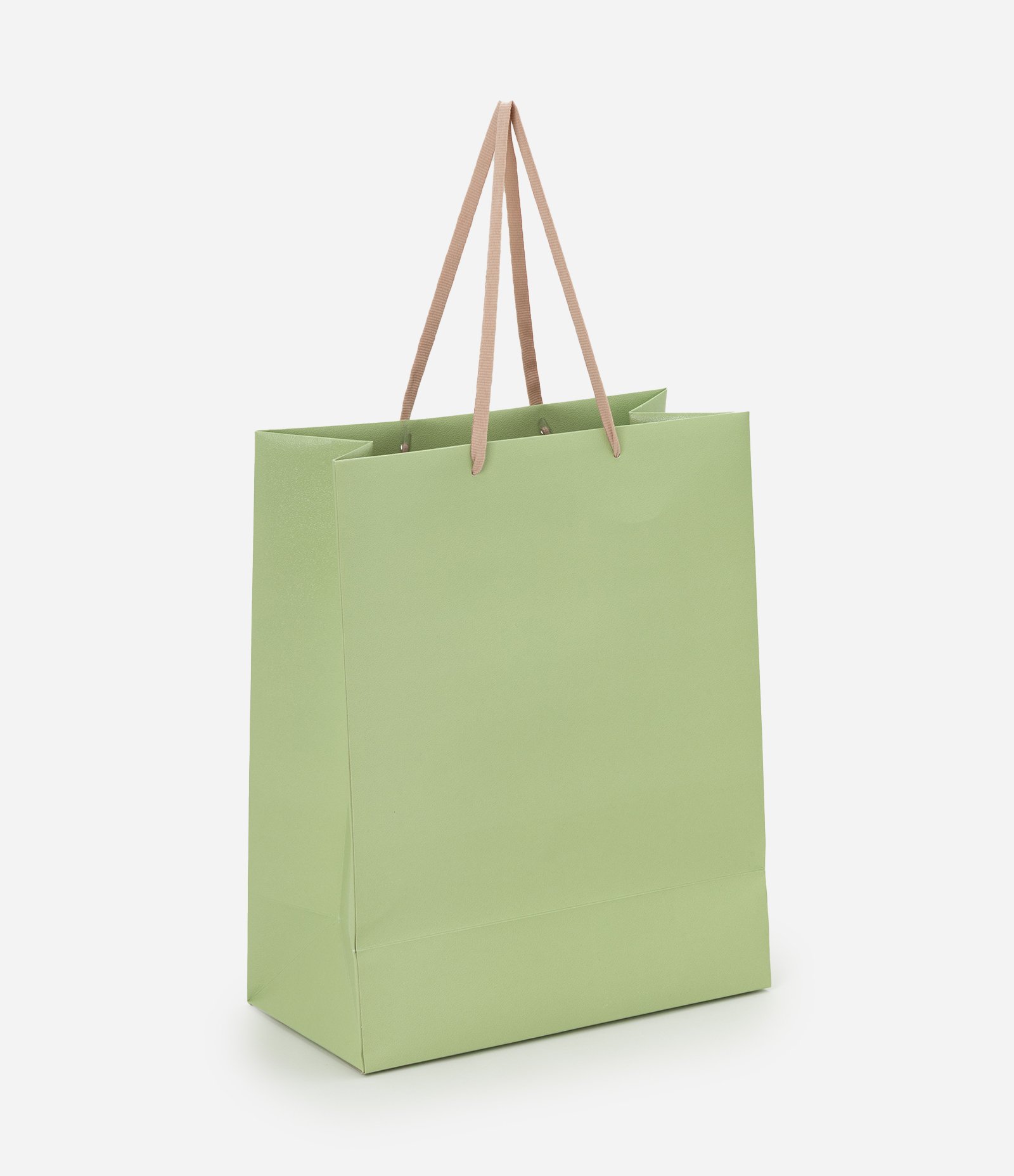 Embalagem de Presente Média com Alça Fina Verde 1