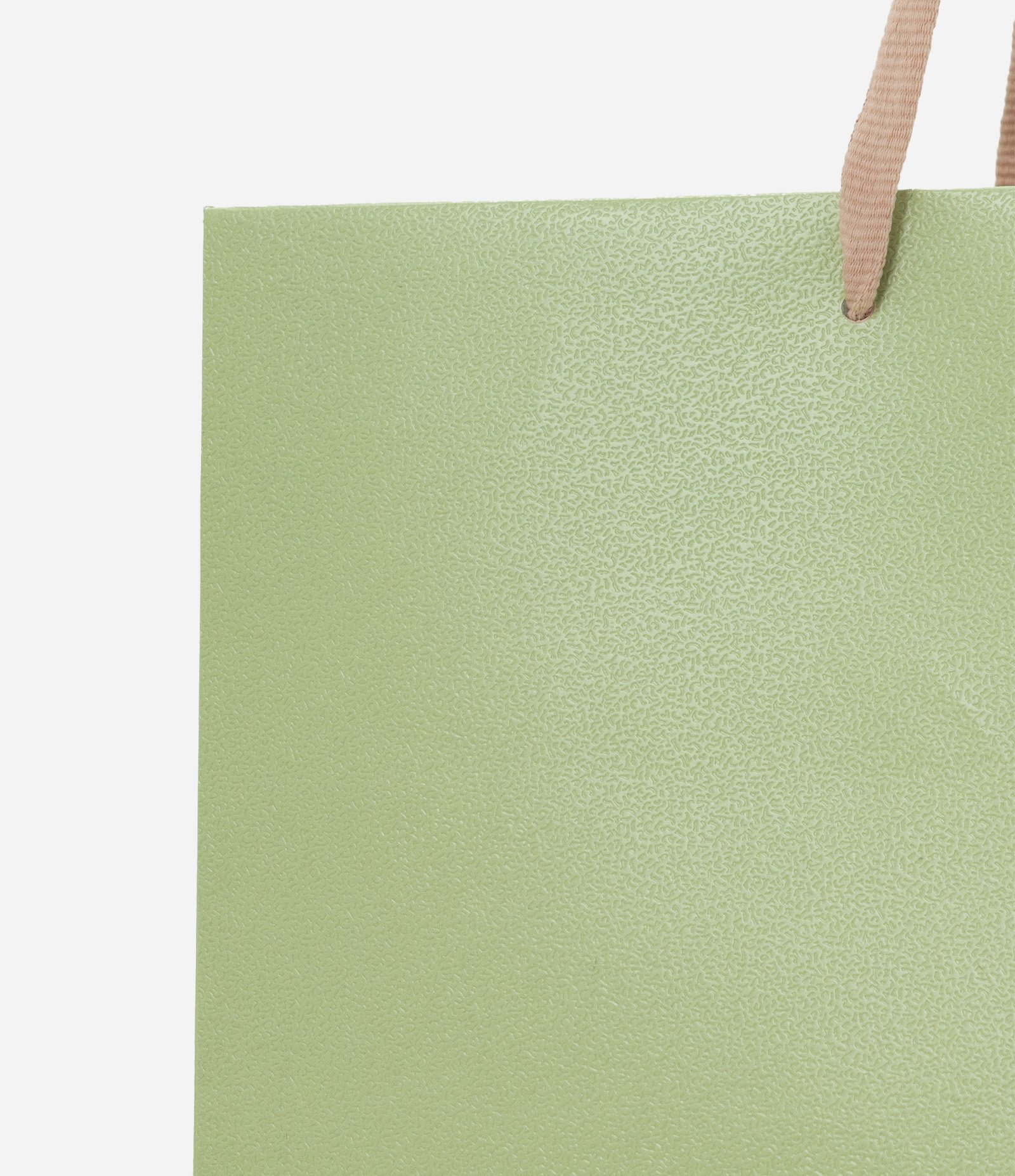 Embalagem de Presente Média com Alça Fina Verde 2