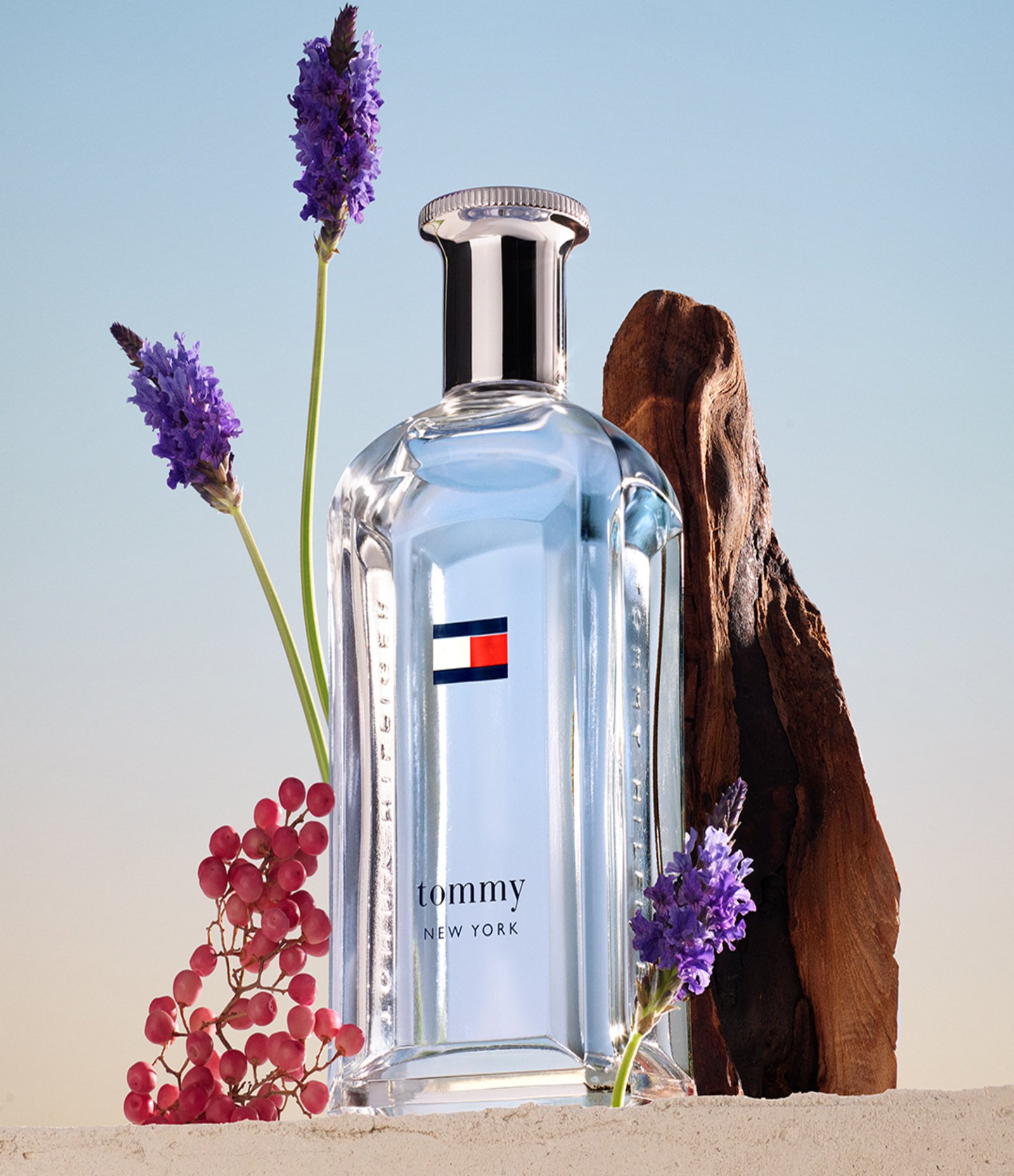 Perfume Tommy Hilfiger New York EDT 30ml 4