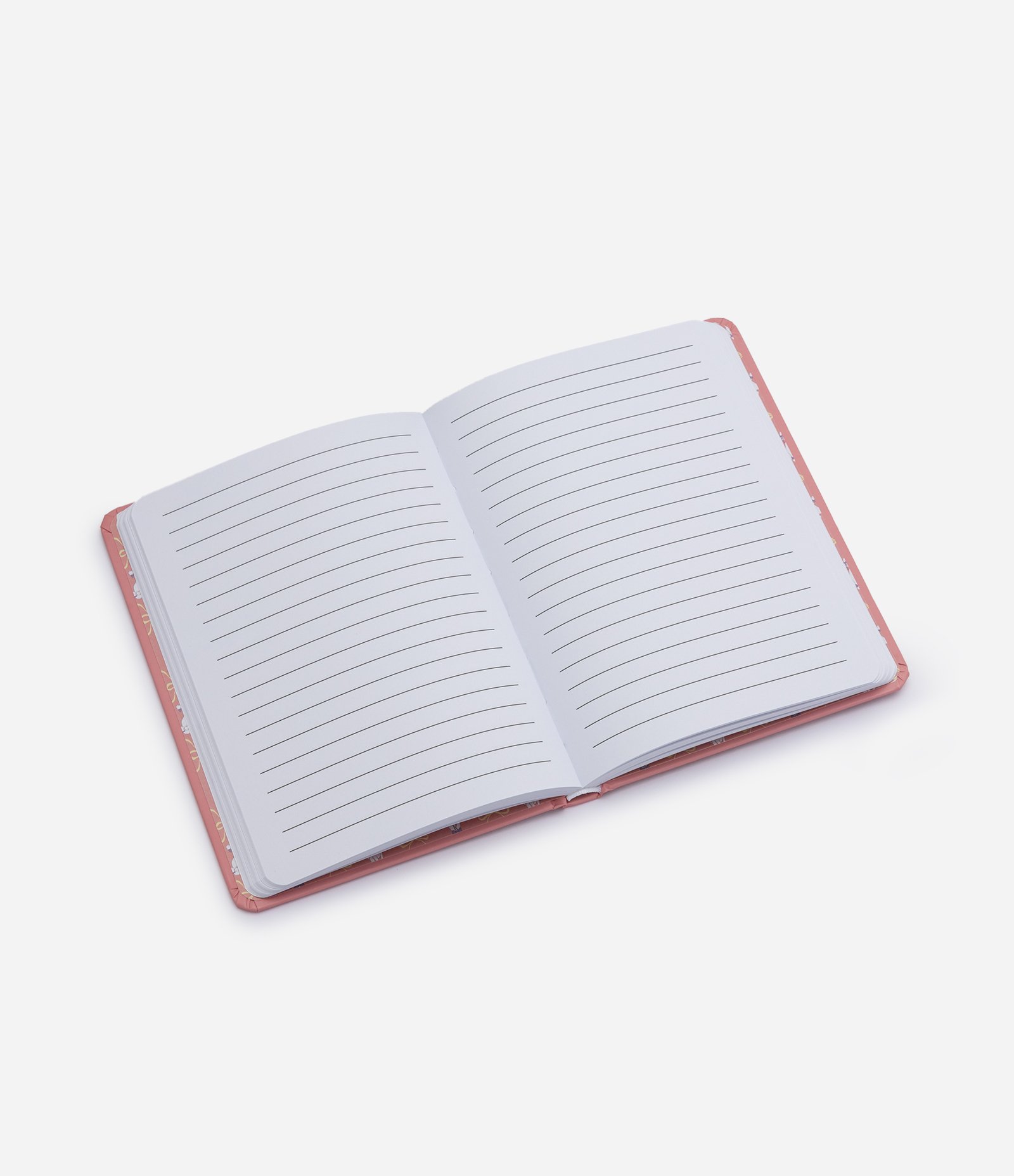 Caderno com Estampa de Cachorro Poodle 96 Páginas Rosa 4