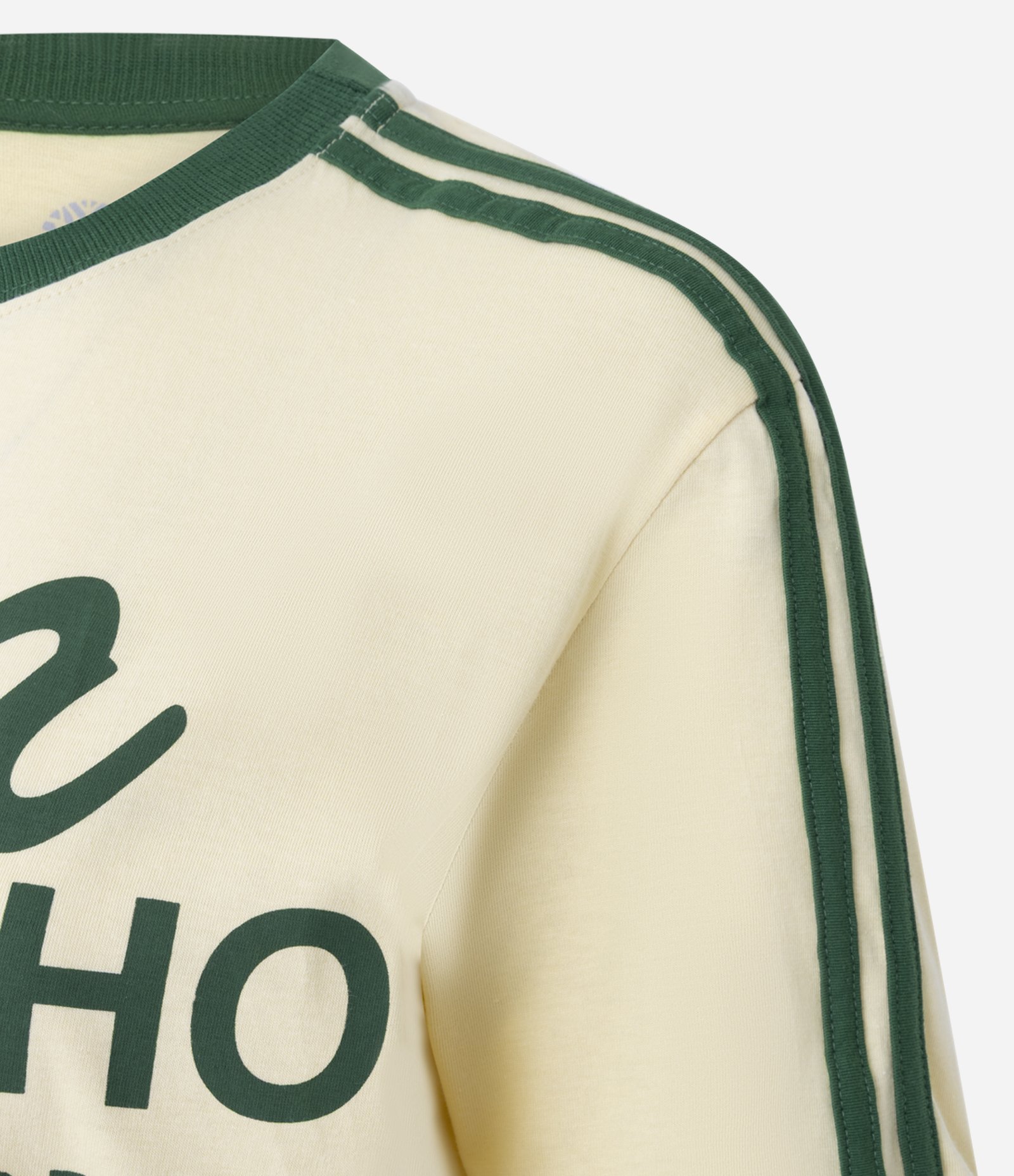 Camiseta com Estampa Zeca Pagodinho Original do Brasil Verde/Amarelo 6