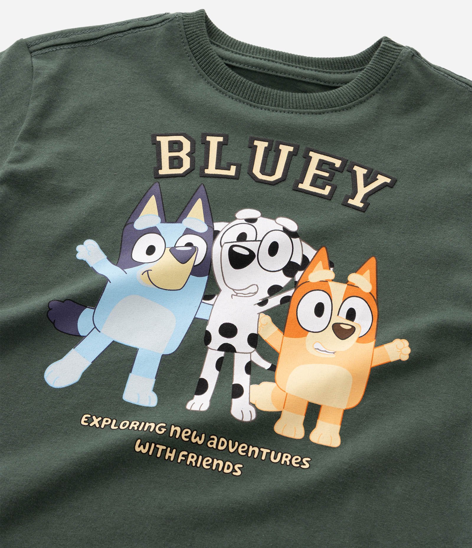 Camiseta Infantil Bluey com Lettering e Estampa Frontal - Tam 2 a 6 Anos Verde 7