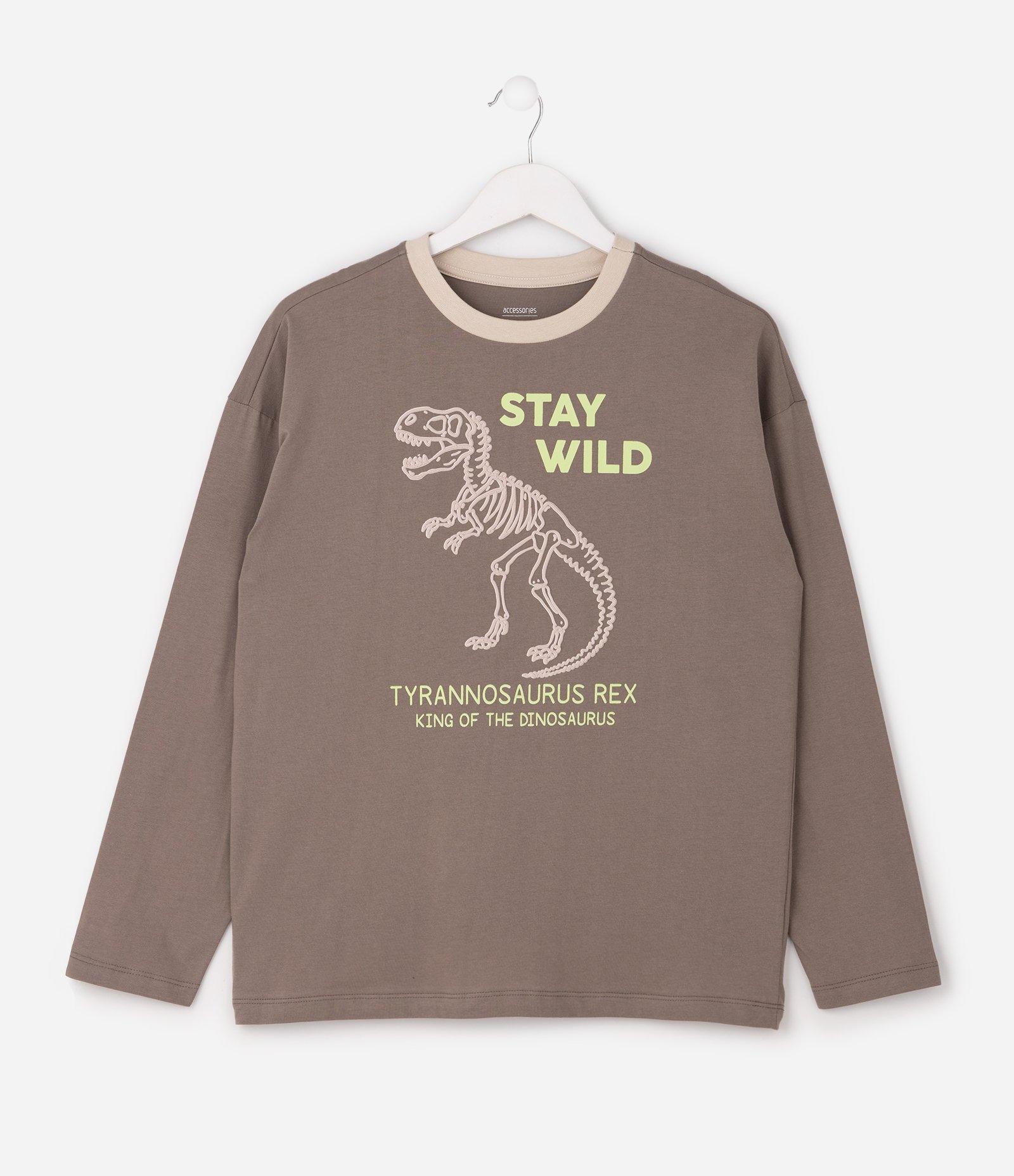 Pijama Longo Infantil com Estampa Dinossauro e Xadrez – Tam 5 a 14 Anos Marrom/Bege 3
