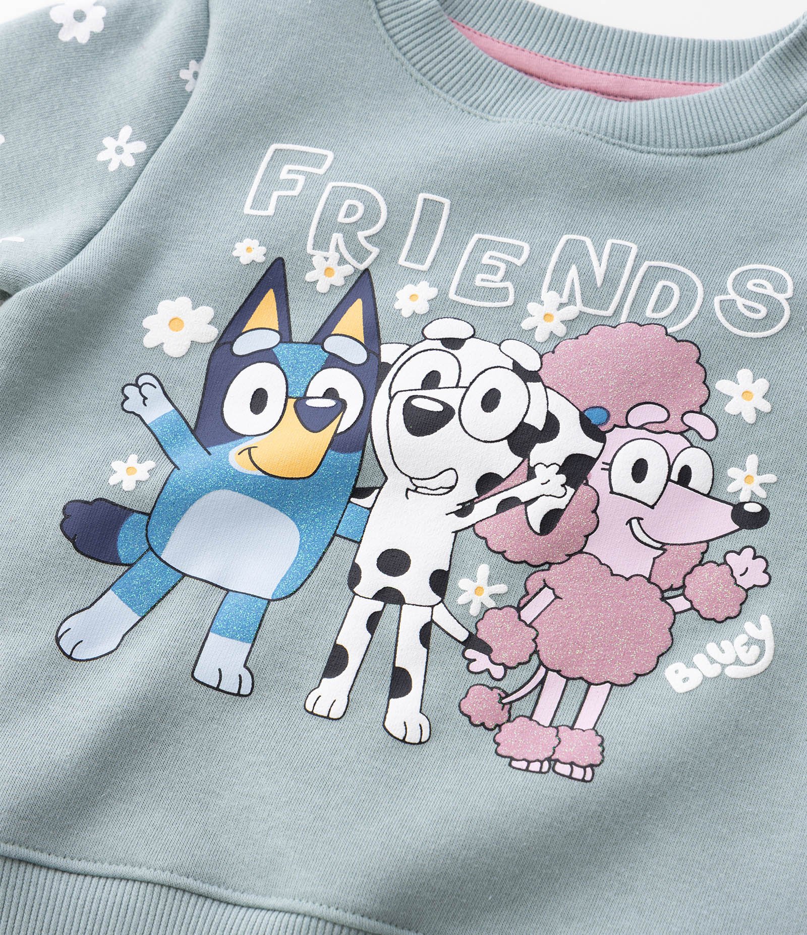 Casaco Moletom Infantil com Estampa Bluey e Friends - Tam 1 A 6 Anos Azul 5