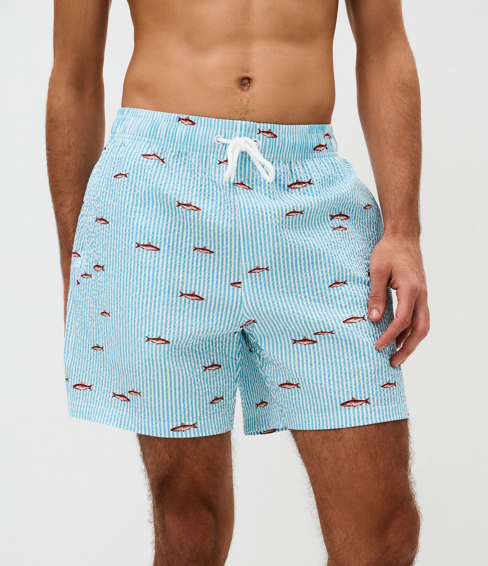 Bermuda de Banho Listrada com Peixinhos Azul 2