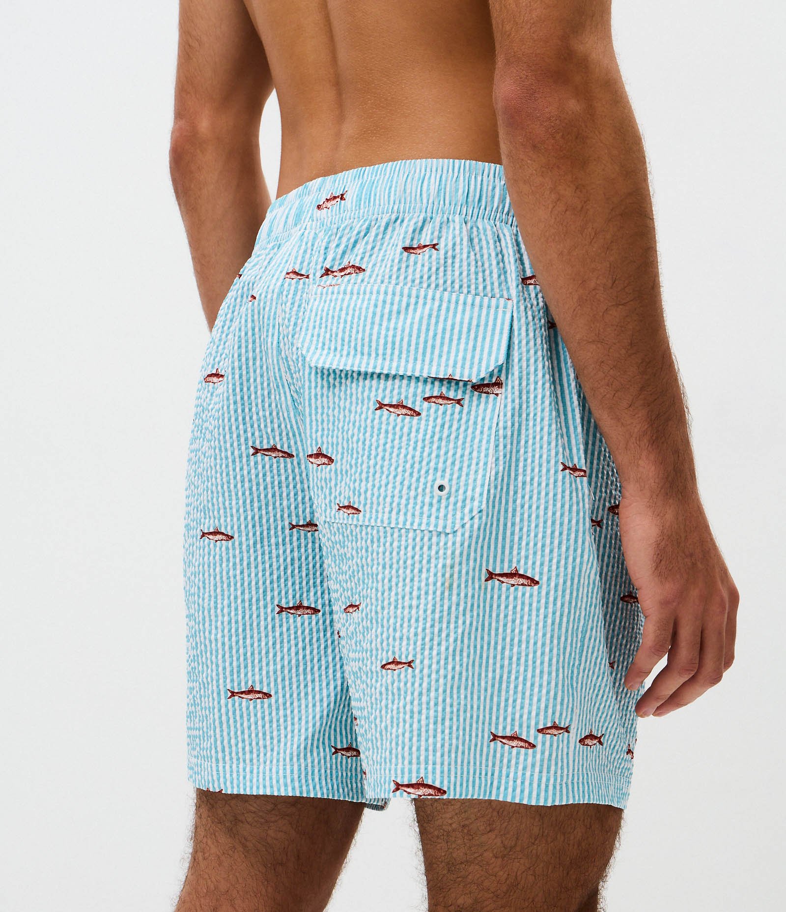 Bermuda de Banho Listrada com Peixinhos Azul 3
