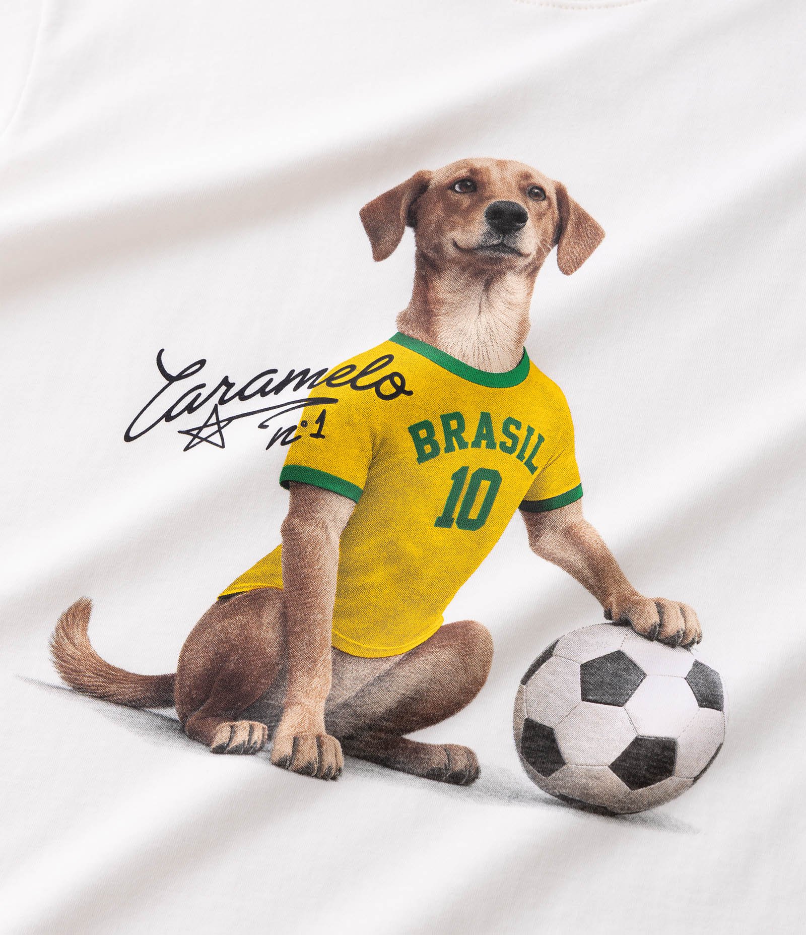 Camiseta Infantil com Estampa Cachorro Caramelo do Brasil – Tam 5 a 14 Anos Off White 4