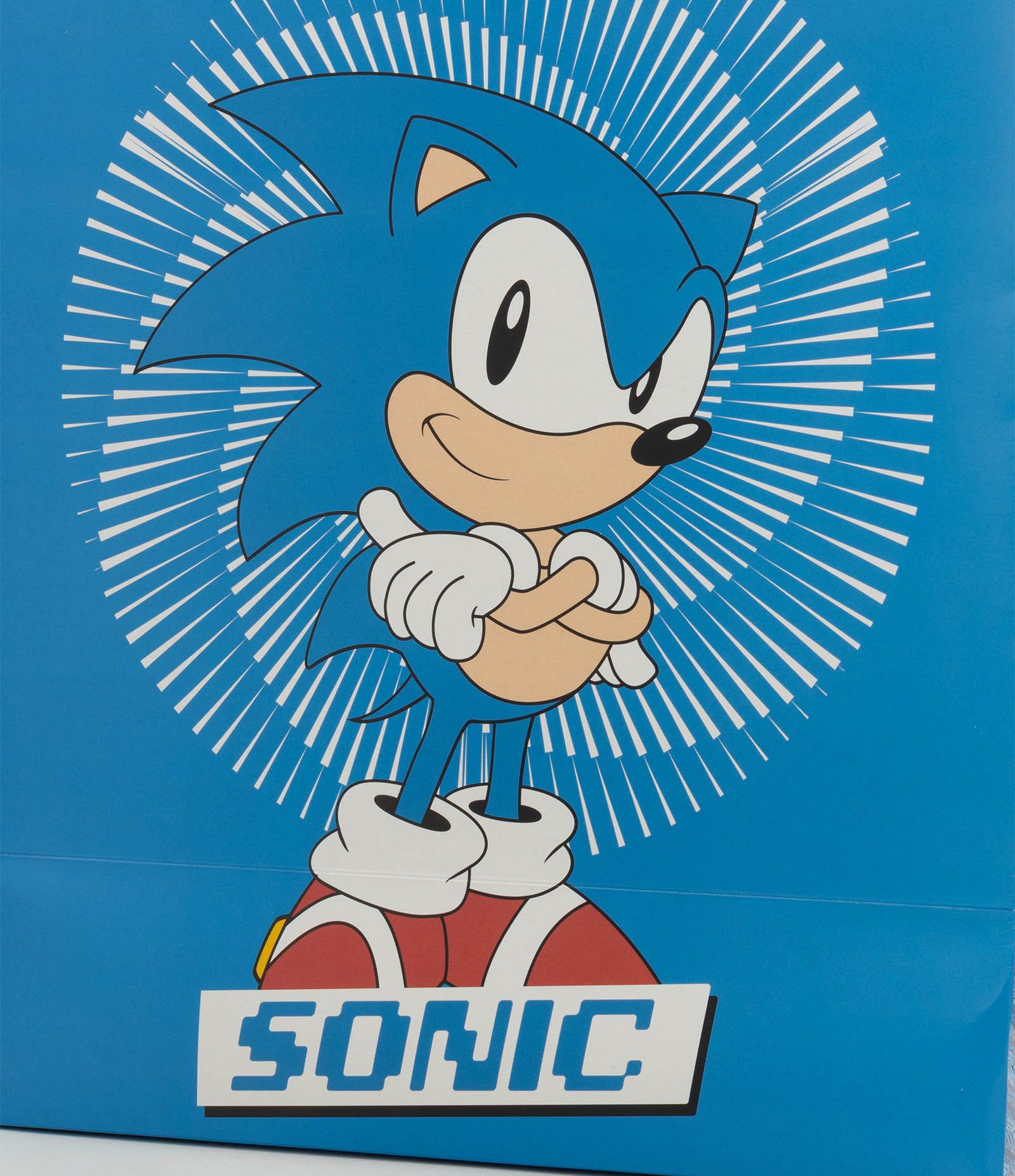 Embalagem de Presente com Estampa Temática Sonic Azul 2