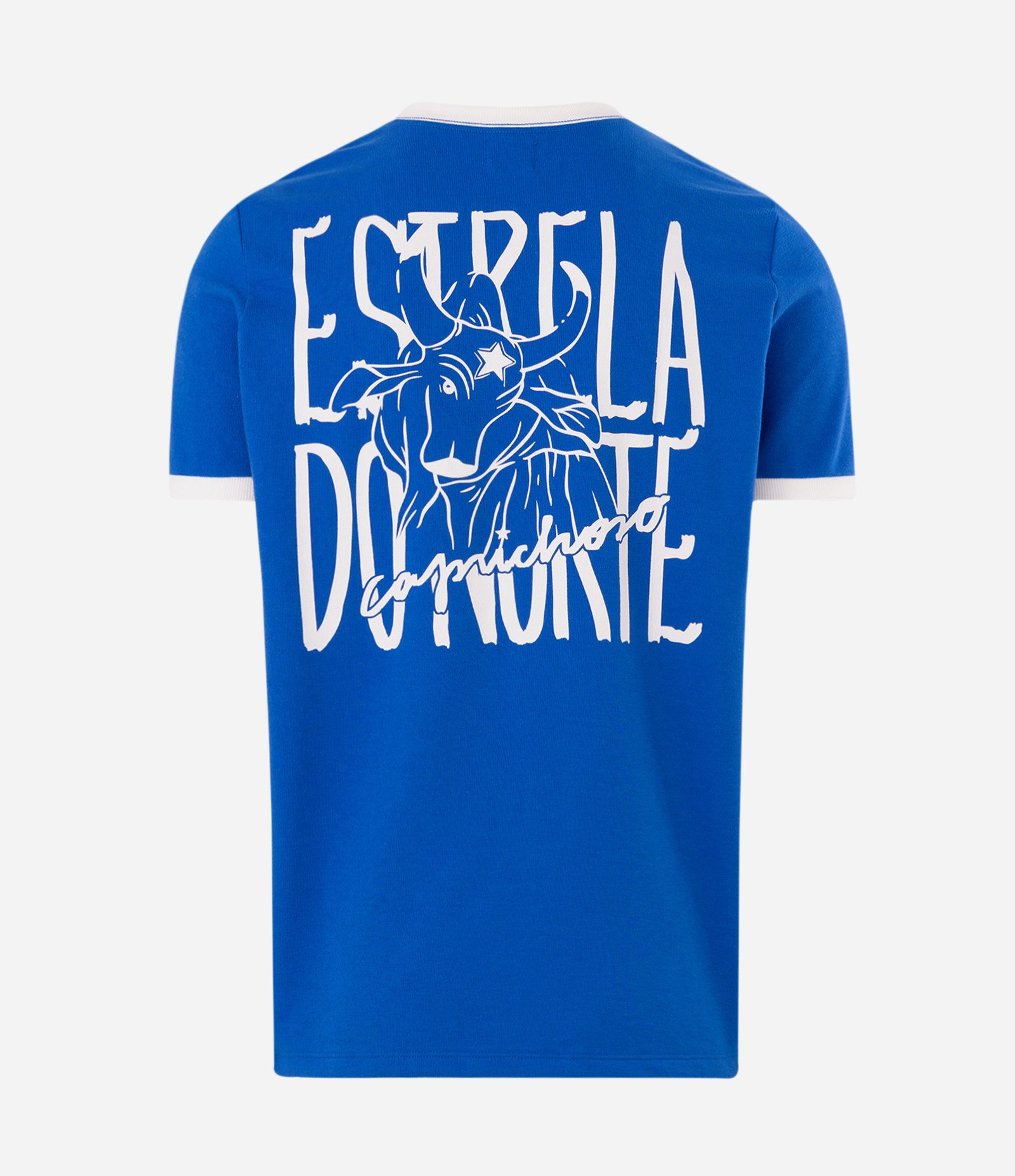 Camiseta Boi Caprichoso Parintins Azul 6